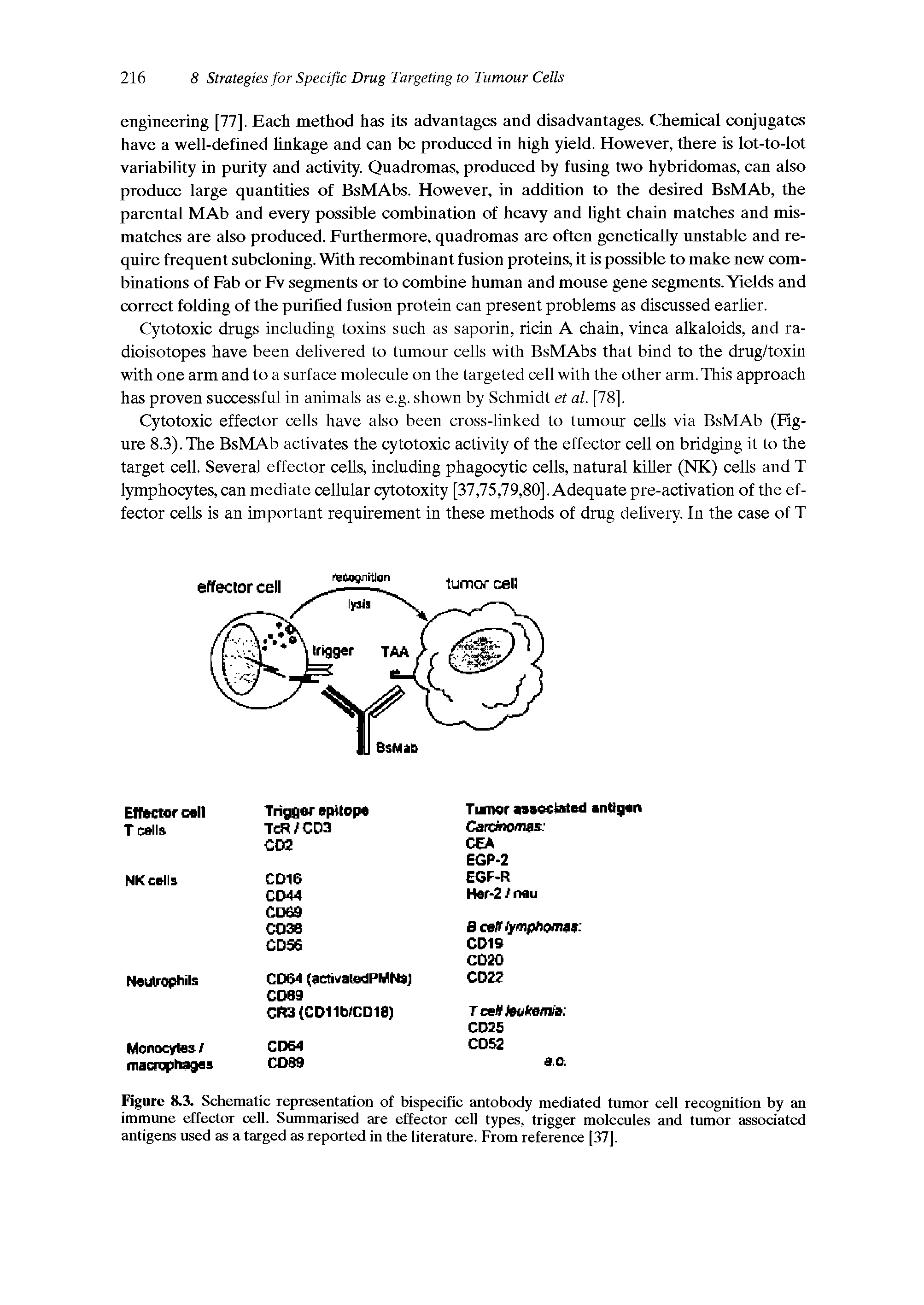 Figure 8.3. Schematic representation of bispecific antobody mediated tumor cell recognition by an immune effector cell. Summarised are effector cell types, trigger molecules and tumor associated antigens used as a targed as reported in the literature. From reference [37].