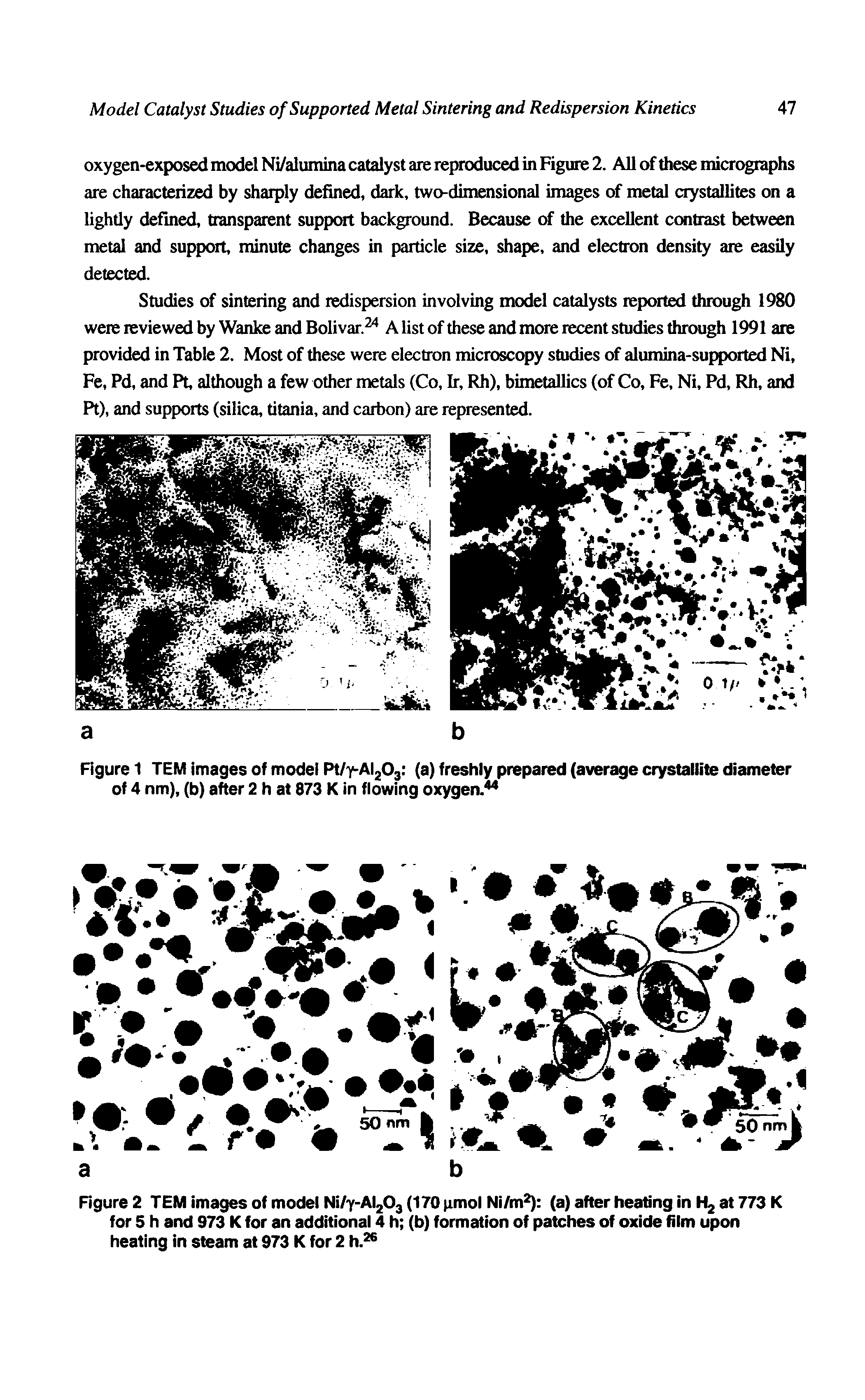 Figure 2 TEM images of model Ni/y-Al203 (170 pmol Ni/m (a) after heating in H2 at 773 K for 5 h and 973 K for an additional 4 h (b) formation of patches of oxide film upon heating in steam at 973 K for 2 h. ...