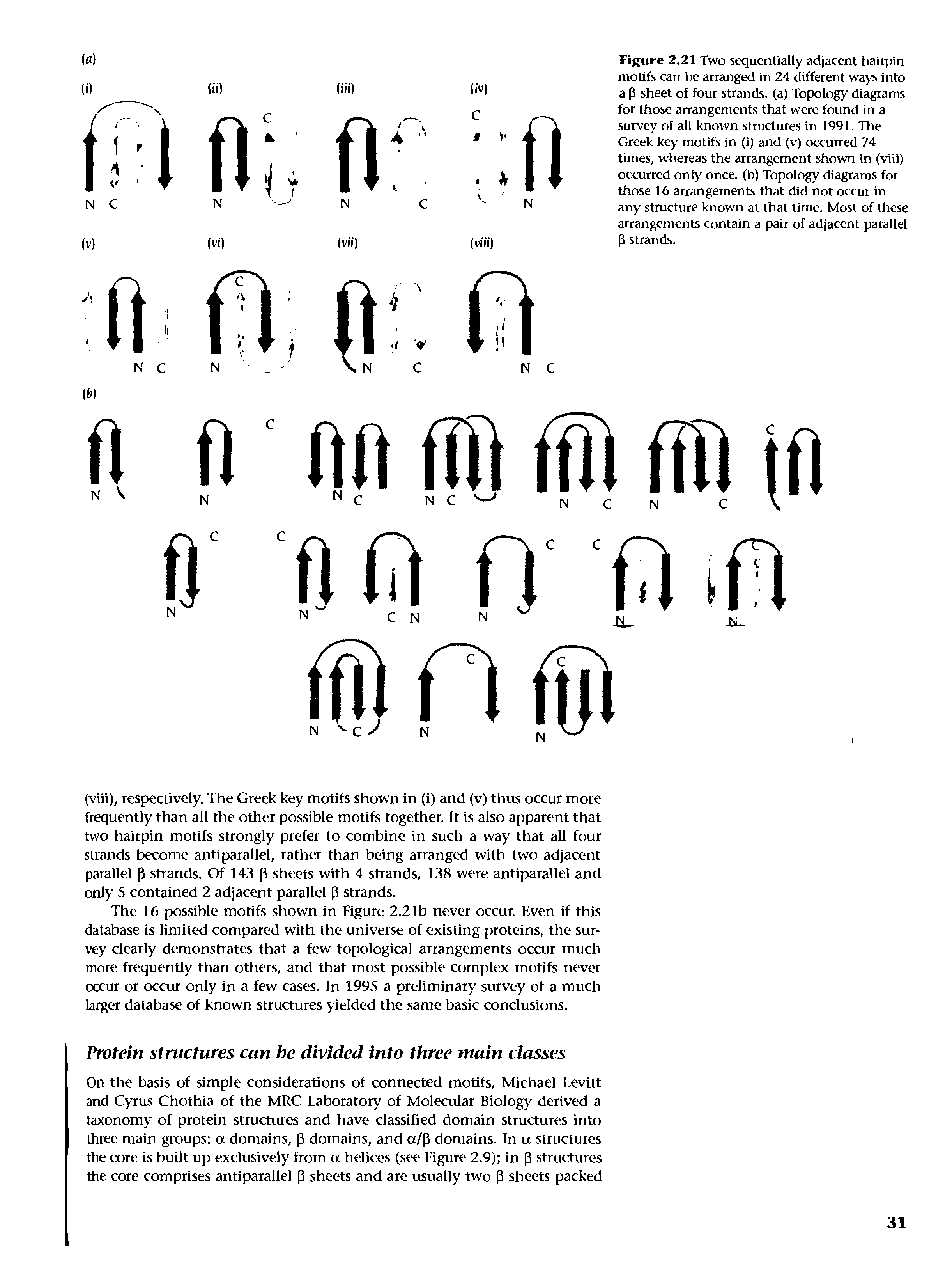 Figure 2.21 Two sequentially adjacent hairpin motifs can be arranged in 24 different ways into a p sheet of four strands, (a) Topology diagrams for those arrangements that were found in a survey of all known structures in 1991. The Greek key motifs in (1) and (v) occurred 74 times, whereas the arrangement shown in (viii) occurred only once, (b) Topology diagrams for those 16 arrangements that did not occur in any structure known at that time. Most of these arrangements contain a pair of adjacent parallel P strands.