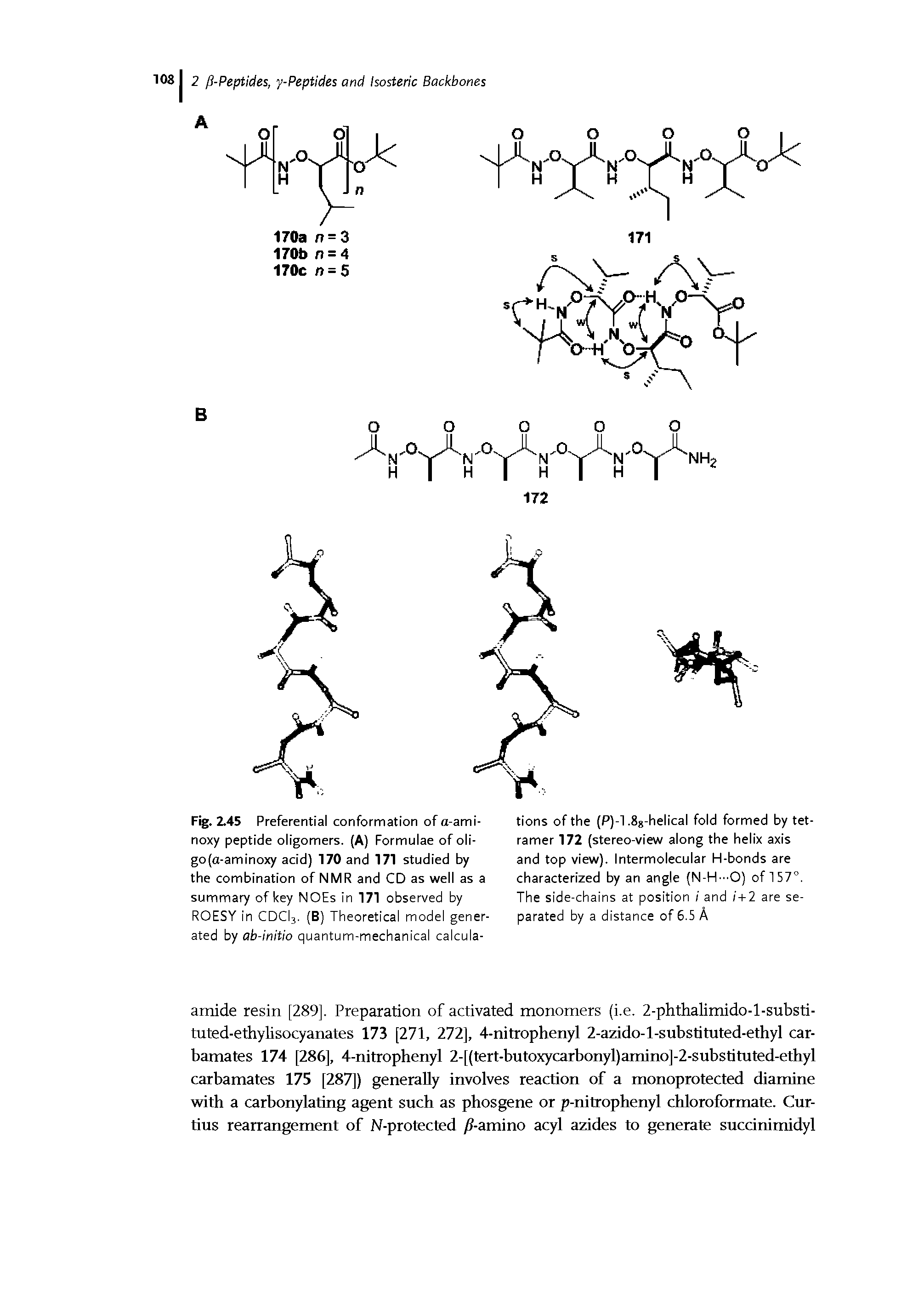 Fig. 2.45 Preferential conformation ofa-ami-noxy peptide oligomers. (A) Formulae of oli-go(a-aminoxy acid) 170 and 171 studied by the combination of NMR and CD as well as a summary of key NOEs in 171 observed by ROESY in CDCI3. (B) Theoretical model generated by ab-initio quantum-mechanical calcula-...