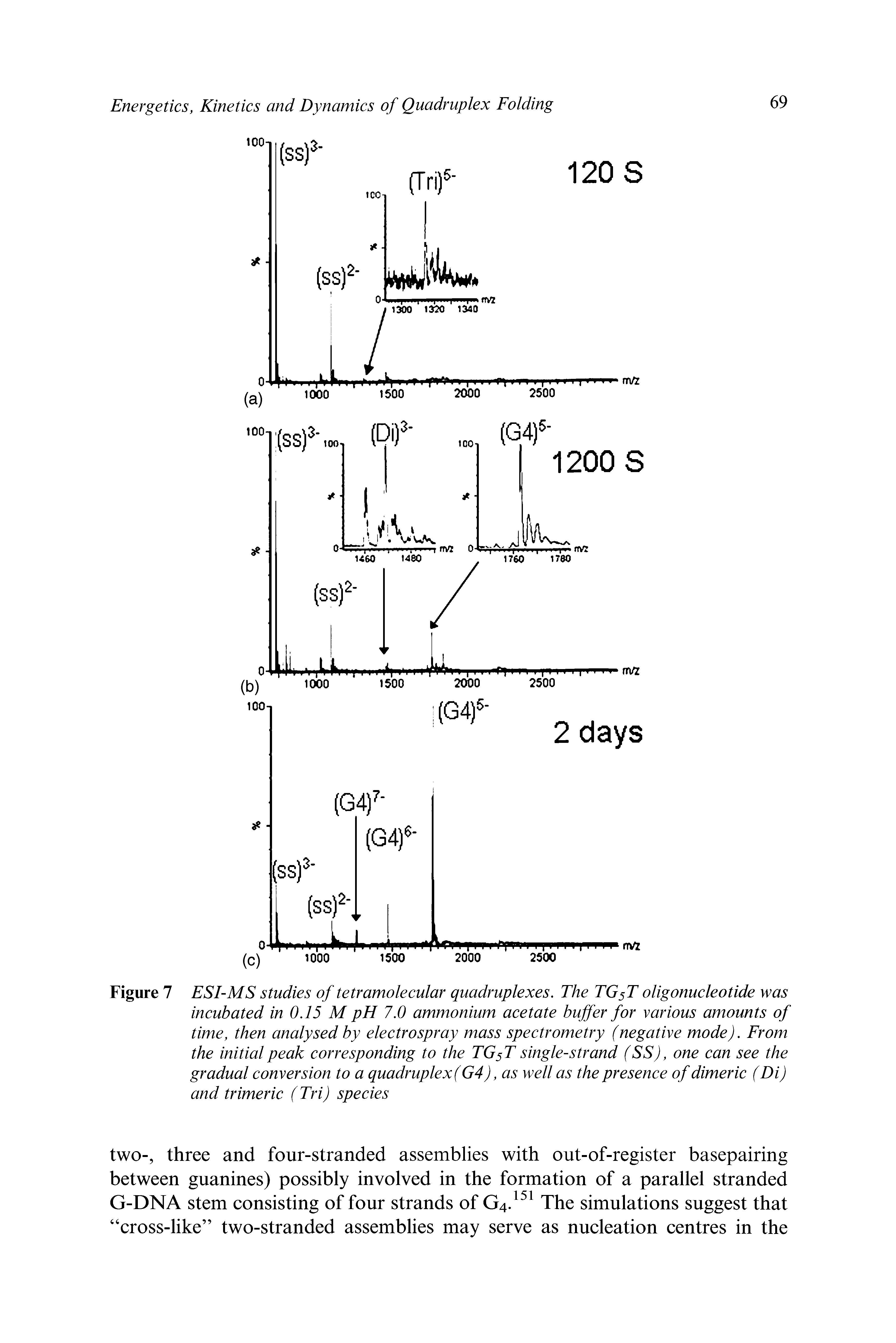Figure 7 ESI-MS studies of tetramolecular quadruplexes. The TG5T oligonucleotide was incubated in 0.15 M pH 7.0 ammonium acetate buffer for various amounts of time, then analysed by electrospray mass spectrometry (negative mode). From the initial peak corresponding to the TG5T single-strand (SS), one can see the gradual conversion to a quadruplex (G4), as well as the presence of dimeric (Di) and trimeric (Tri) species...