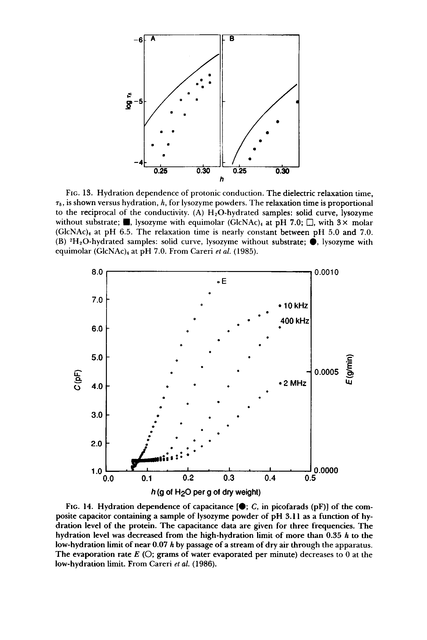 Fig. 14. Hydration dependence of capacitance [9 C, in picofarads (pF)] of the composite capacitor containing a sample of lysozyme powder of pH 3.11 as a function of hydration level of the protein. The capacitance data are given for three frequencies. The hydration level was decreased from the high-hydration limit of more than 0.35 h to the low-hydration limit of near 0.07 h by passage of a stream of dry air through the apparatus. The evaporation rate E (O grams of water evaporated per minute) decreases to 0 at the low-hydration limit. From Careri et al. (1986).
