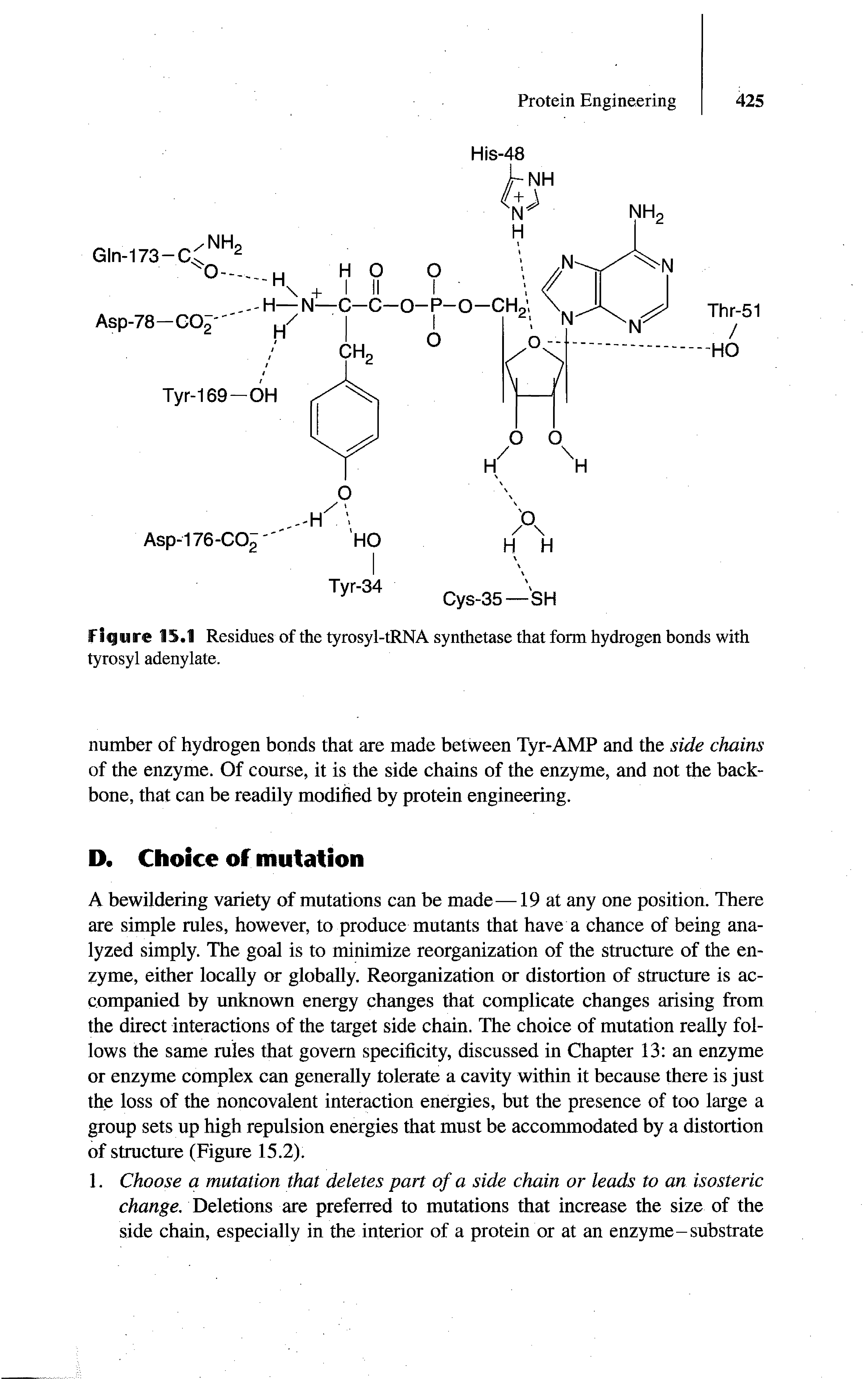 Figure 15.1 Residues of the tyrosyl-tRNA synthetase that form hydrogen bonds with tyrosyl adenylate.