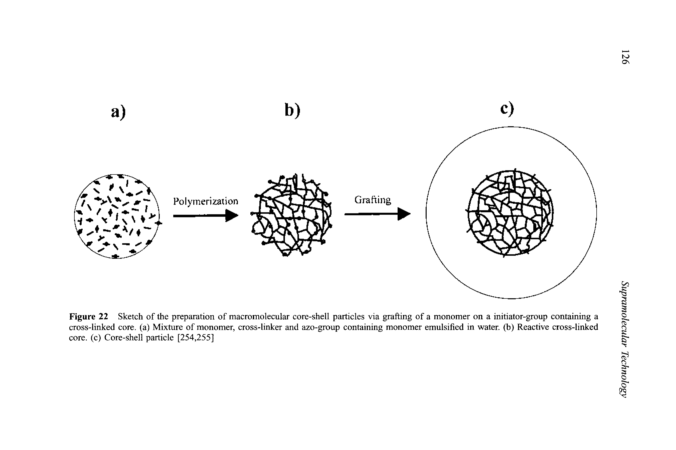 Figure 22 Sketch of the preparation of macromolecular core-shell particles via grafting of a monomer on a initiator-group containing a cross-linked core, (a) Mixture of monomer, cross-linker and azo-group containing monomer emulsified in water, (b) Reactive cross-linked core, (c) Core-shell particle [254,255]...