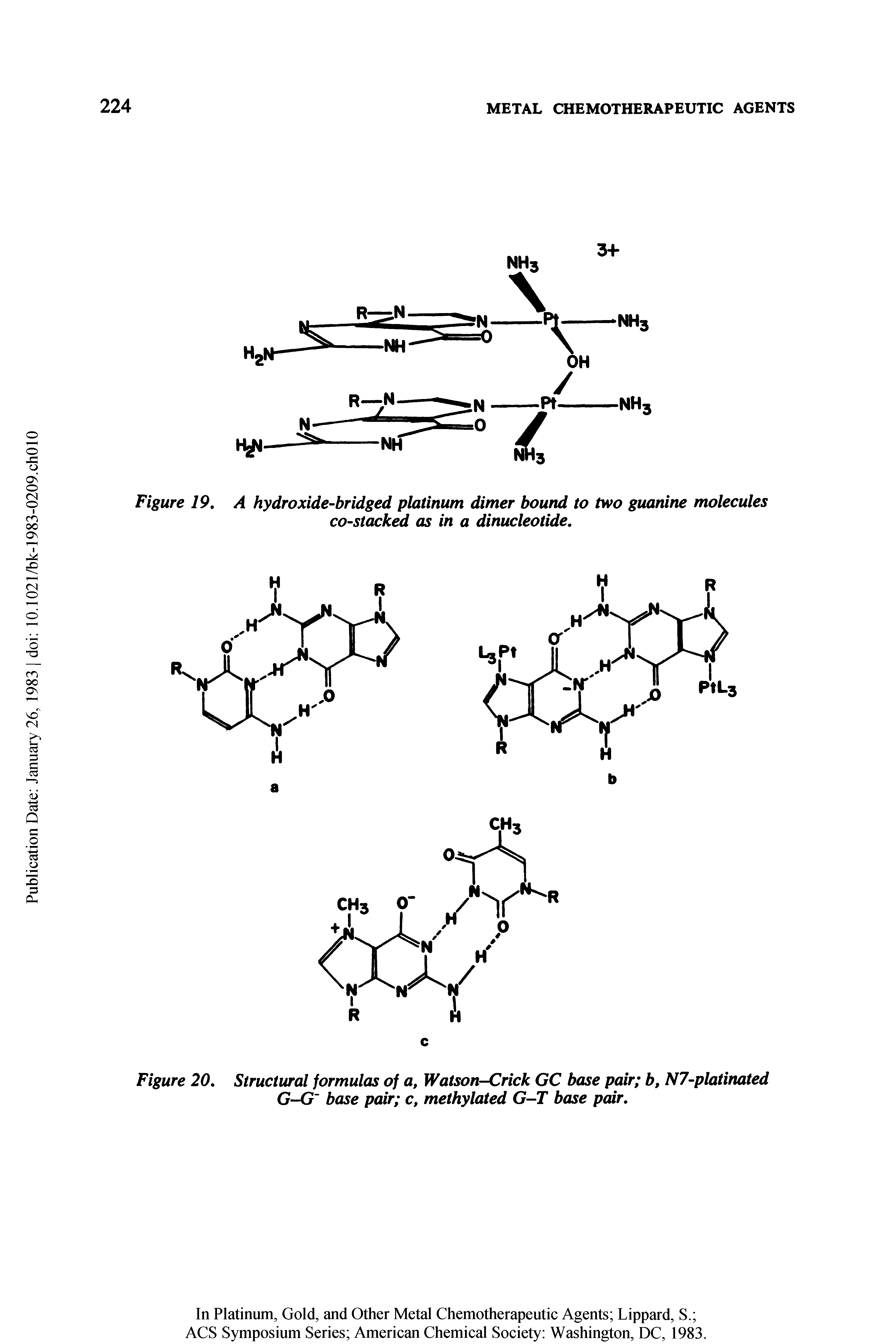 Figure 19, A hydroxide-bridged platinum dimer bound to two guanine molecules co-stacked as in a dinucleotide.