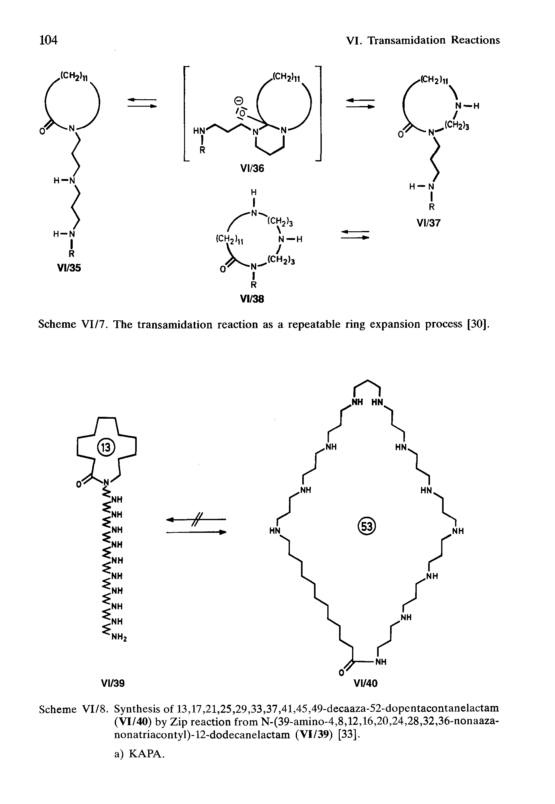 Scheme VI/7. The transamidation reaction as a repeatable ring expansion process [30].