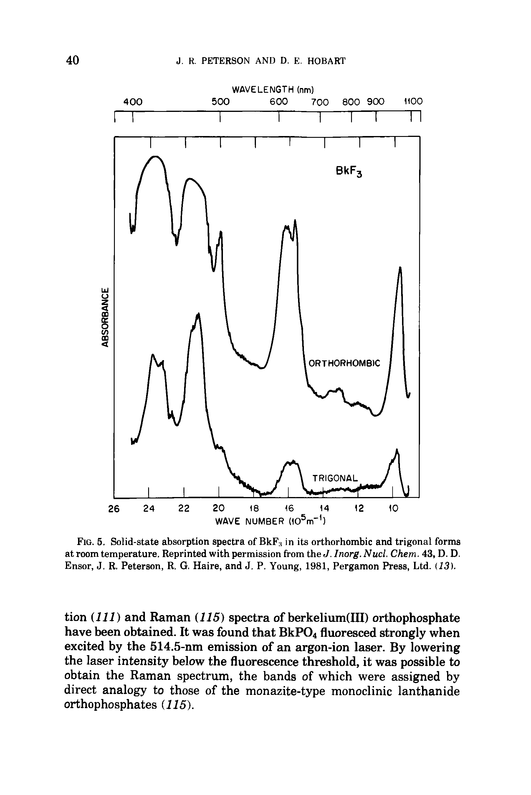 Fig. 5. Solid-state absorption spectra of BkF ) in its orthorhombic and trigonal forms at room temperature. Reprinted with permission from the J. Inorg. Nucl. Chem. 43, D. D. Ensor, J. R. Peterson, R. G. Haire, and J. P. Young, 1981, Pergamon Press, Ltd. (13).