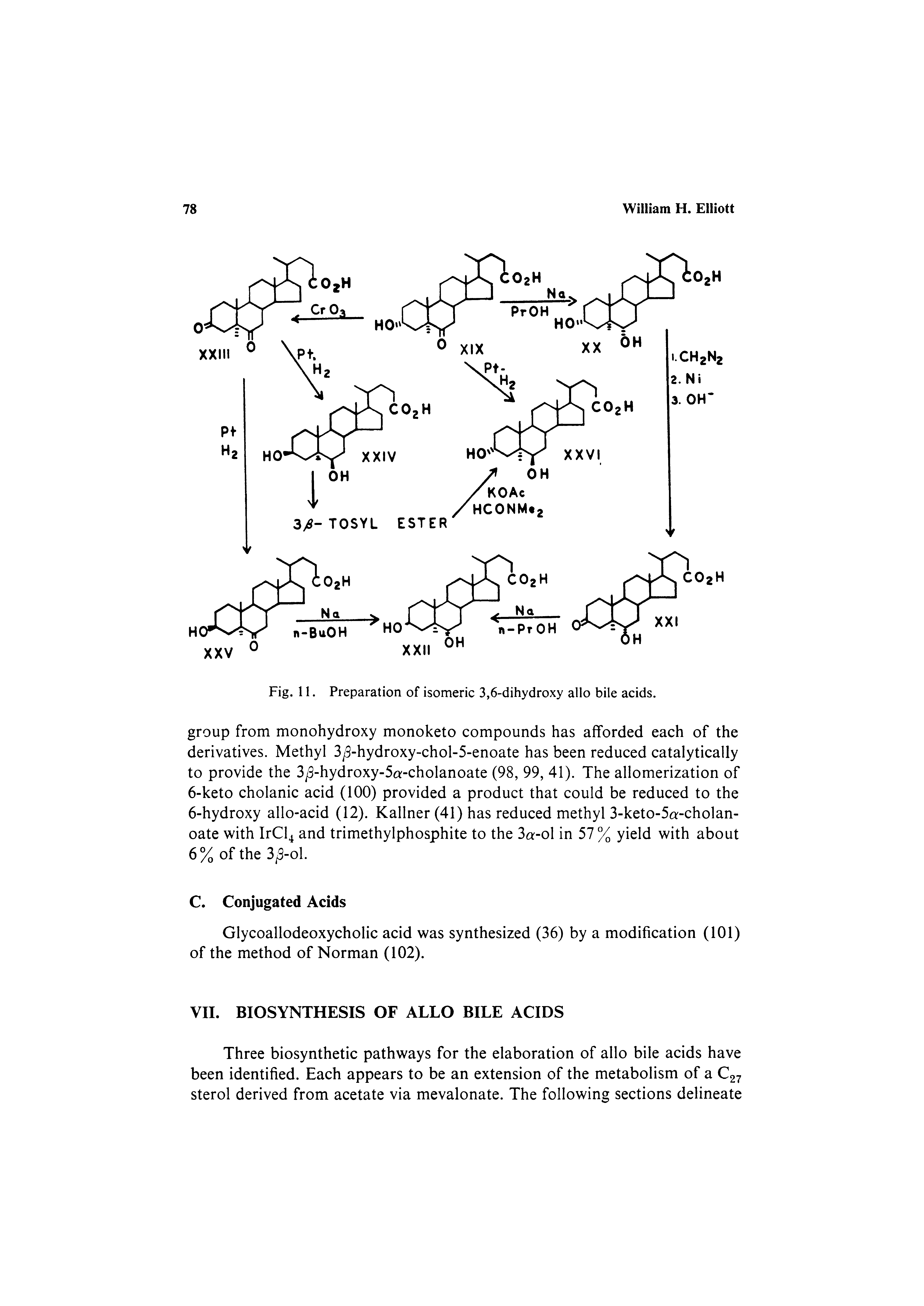 Fig. 11. Preparation of isomeric 3,6-dihydroxy alio bile acids.