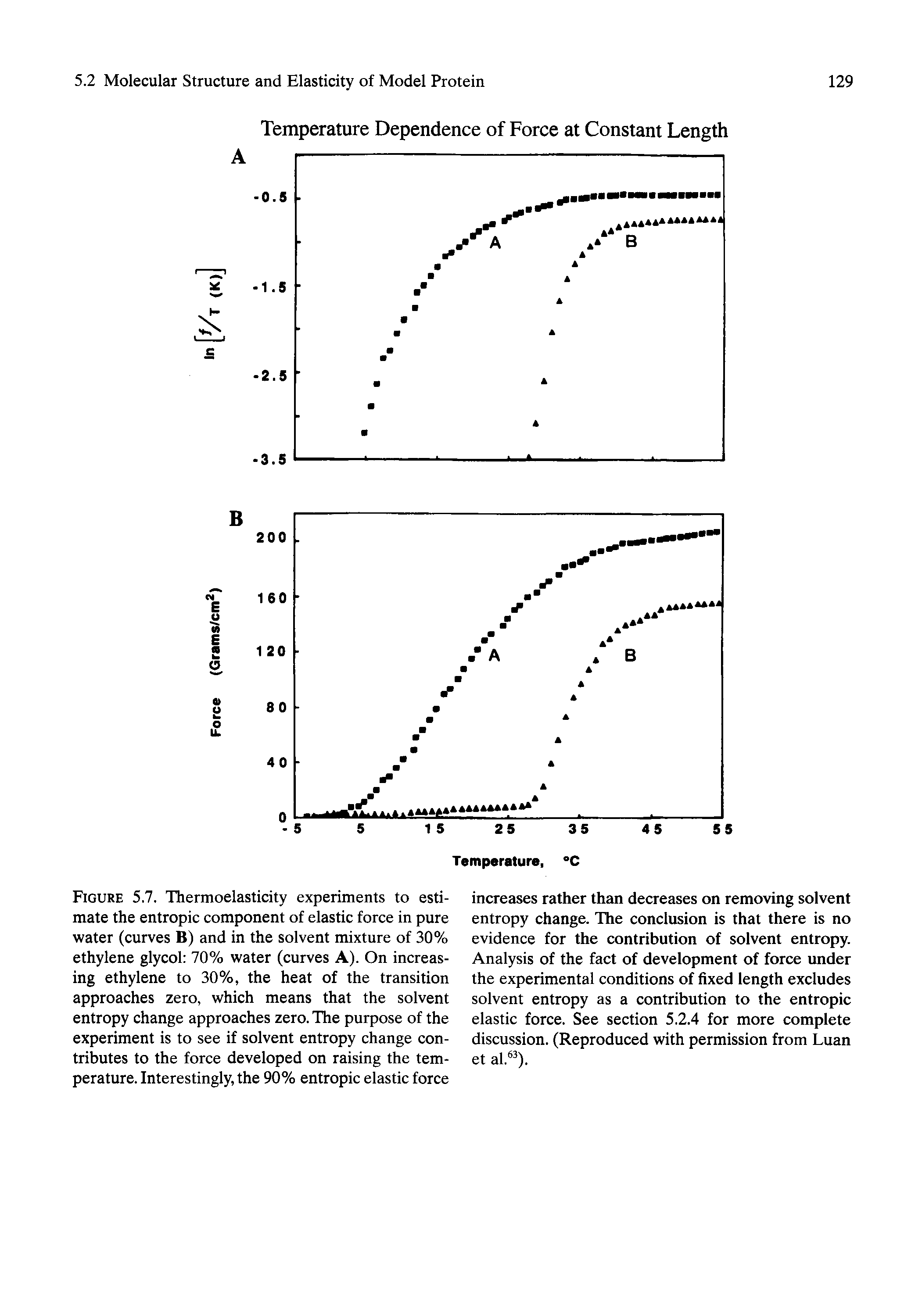 Figure 5.7. Thermoelasticity experiments to estimate the entropic component of elastic force in pure water (curves B) and in the solvent mixture of 30% ethylene glycol 70% water (curves A). On increasing ethylene to 30%, the heat of the transition approaches zero, which means that the solvent entropy change approaches zero. The purpose of the experiment is to see if solvent entropy change contributes to the force developed on raising the temperature. Interestingly, the 90% entropic elastic force...