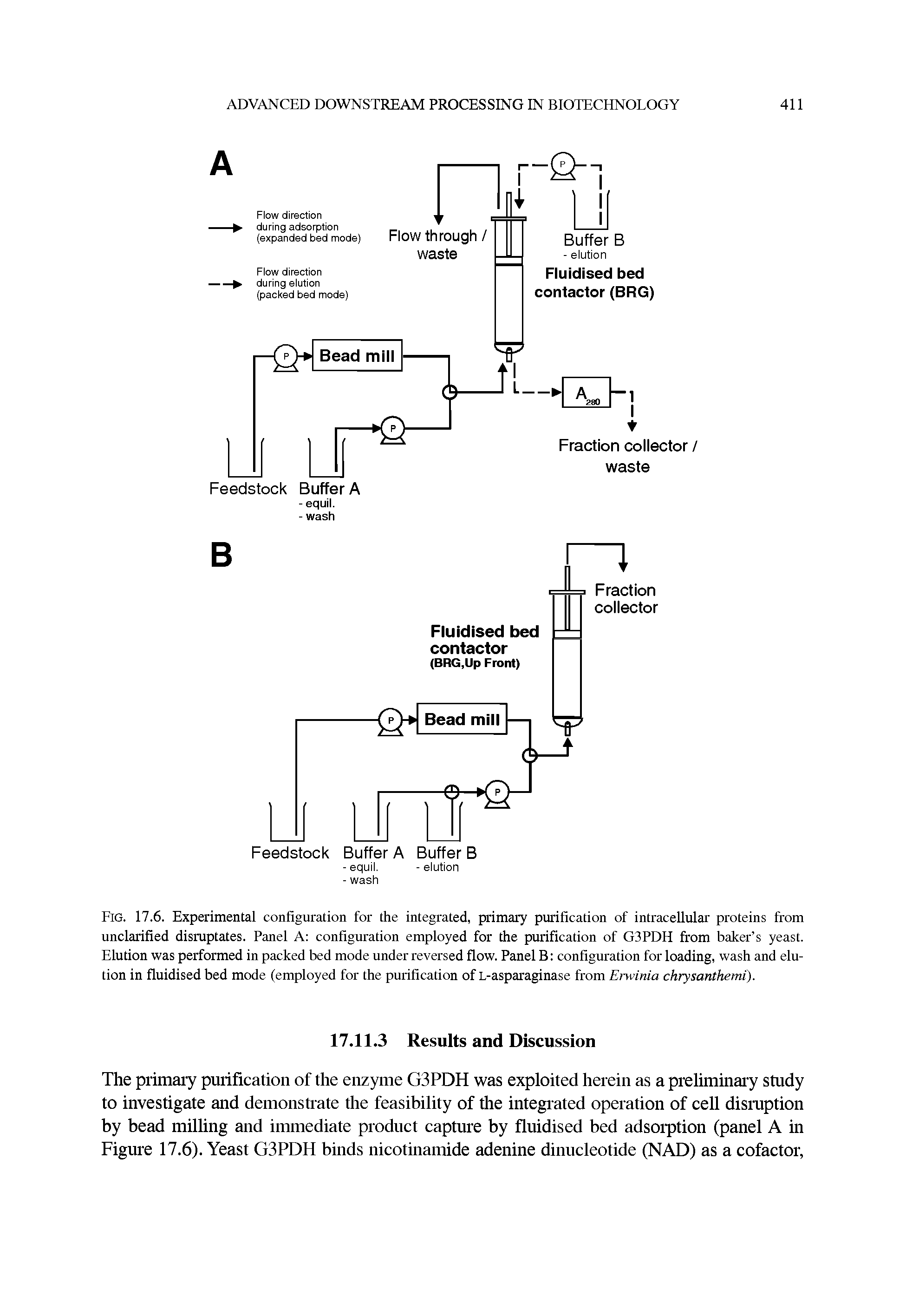 Fig. 17.6. Experimental configuration for the integrated, primary purification of intracellular proteins from unclarified disruptates. Panel A configuration employed for the purification of G3PDH from baker s yeast. Elution was performed in packed bed mode under reversed flow. Panel B configuration for loading, wash and elution in fluidised bed mode (employed for the purification of L-asparaginase from Erwinia chrysanthemi).