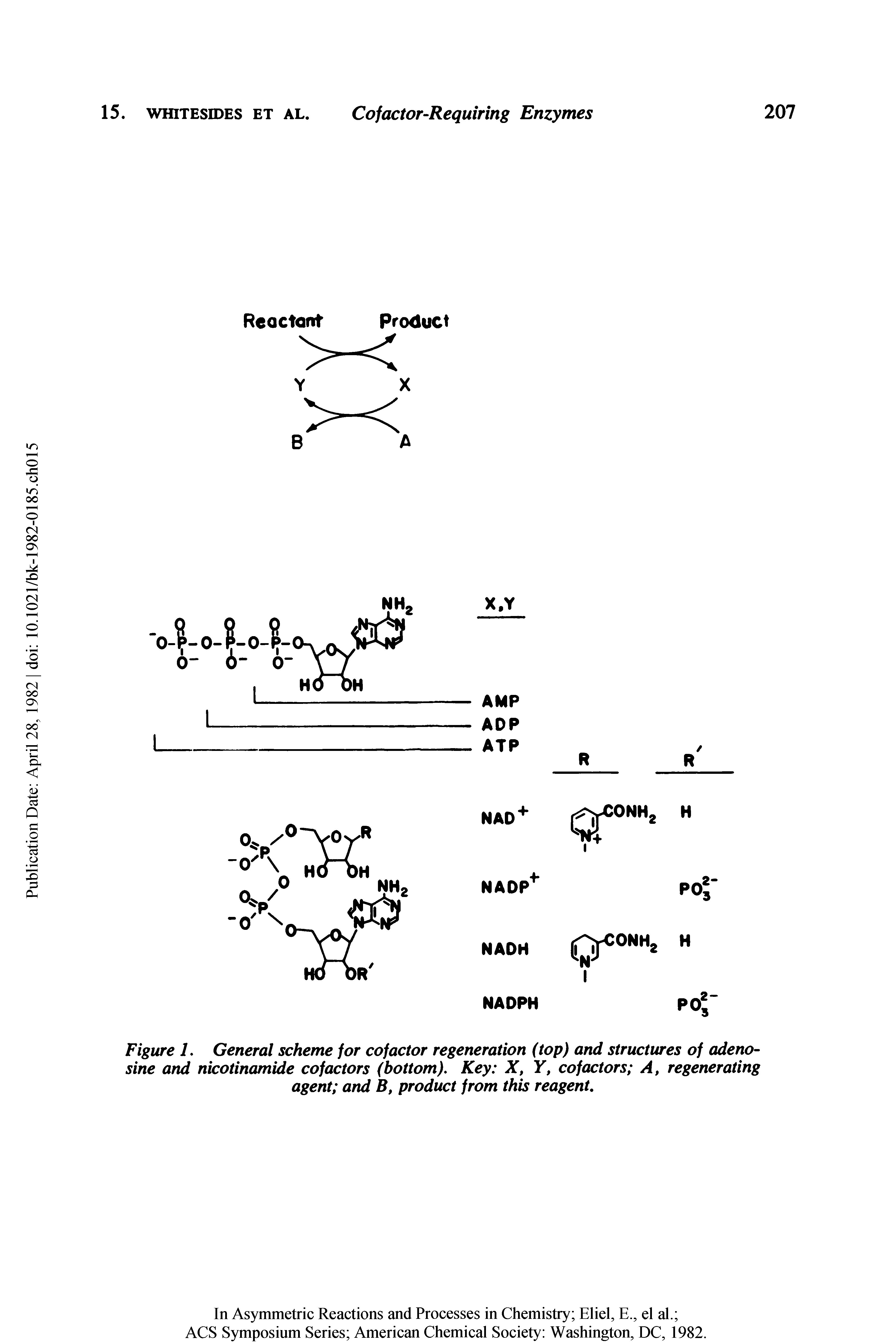 Figure 1. General scheme for cofactor regeneration (top) and structures of adenosine and nicotinamide cofactors (bottom). Key X, Y, cofactors A, regenerating agent and B, product from this reagent.