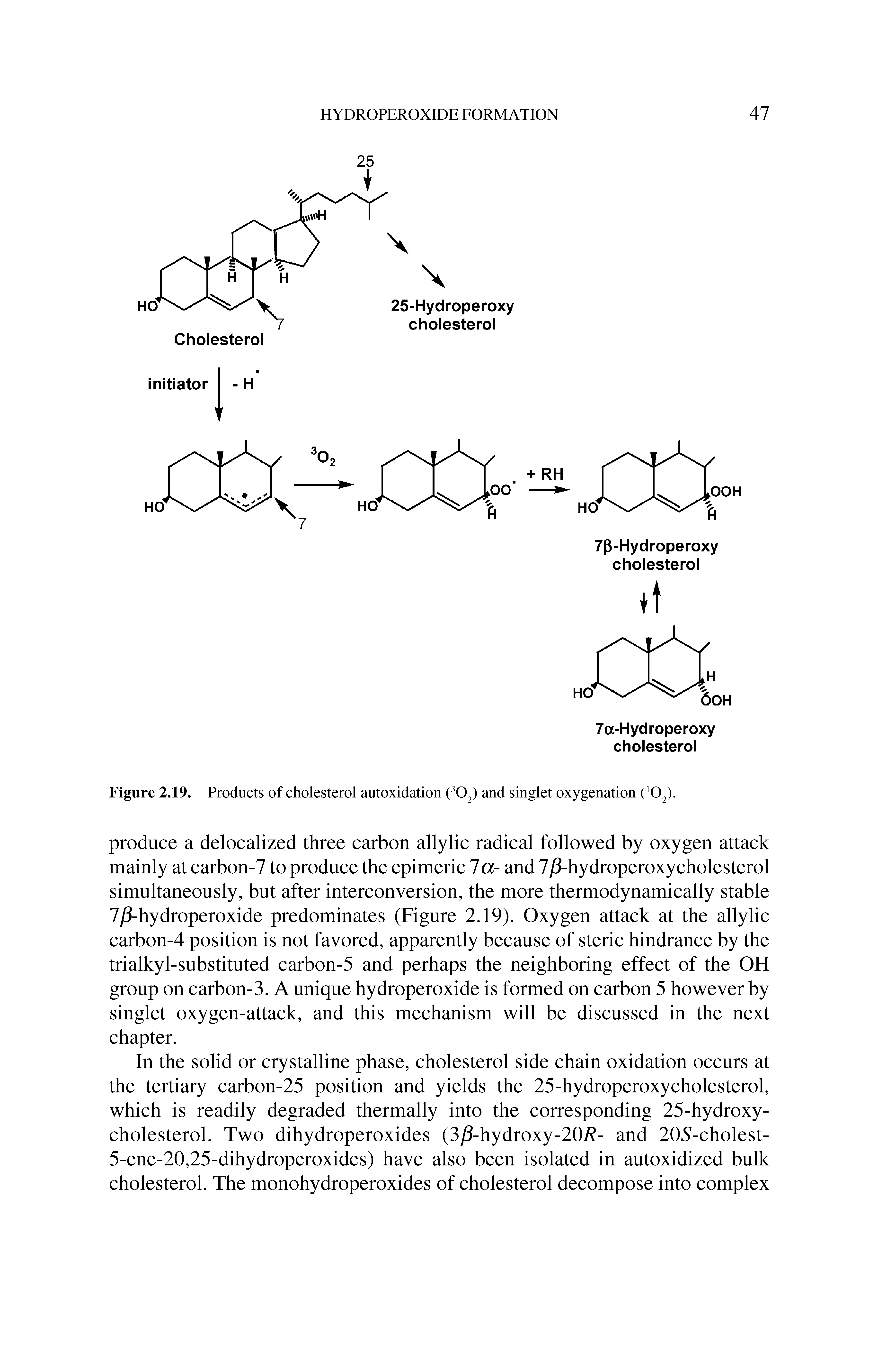 Figure 2.19. Products of cholesterol autoxidation ( O ) and singlet oxygenation ( O ).