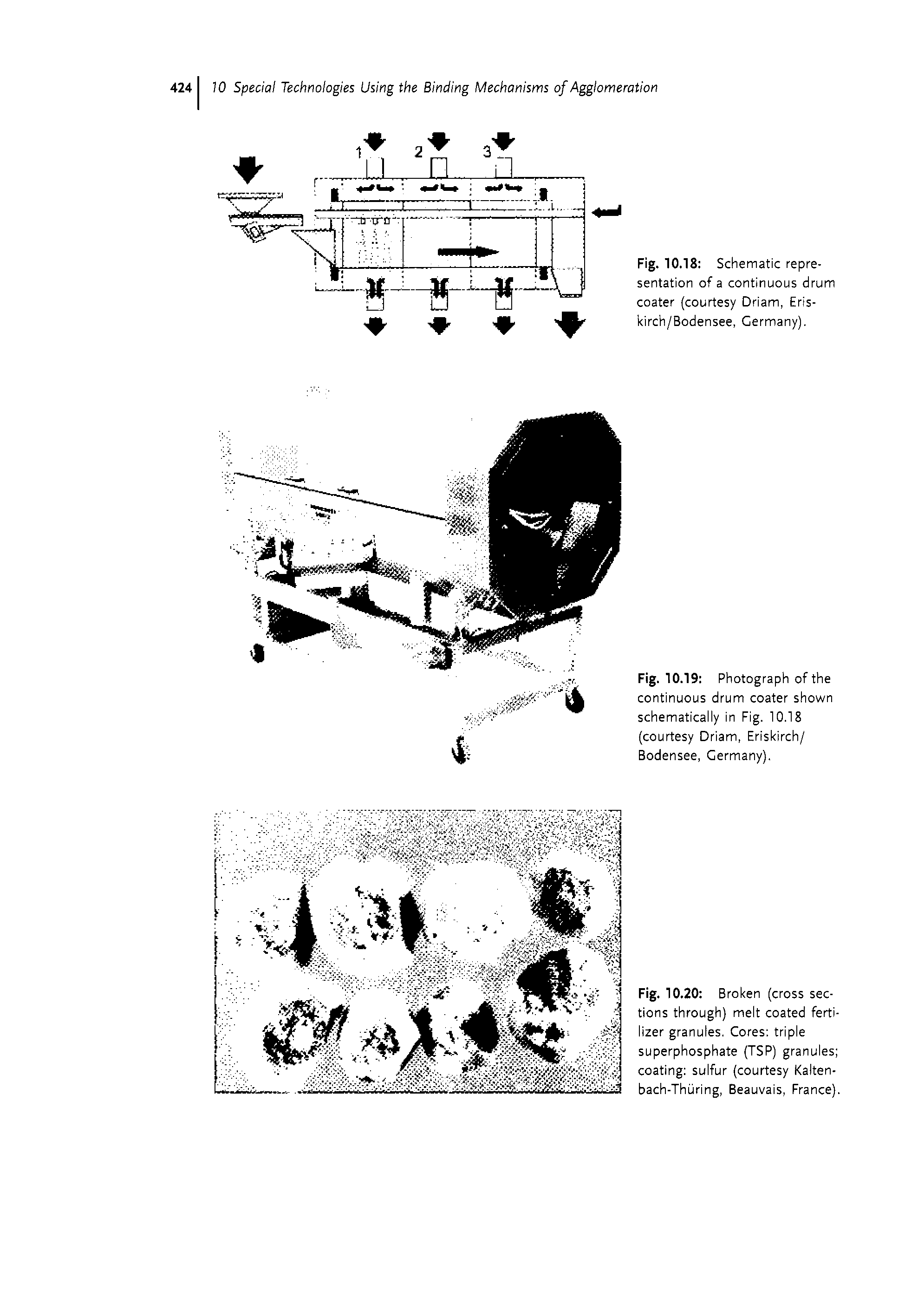 Fig. 10.20 Broken (cross sections through) melt coated fertilizer granules. Cores triple superphosphate (TSP) granules coating sulfur (courtesy Kalten-bach-Thuring, Beauvais, France).