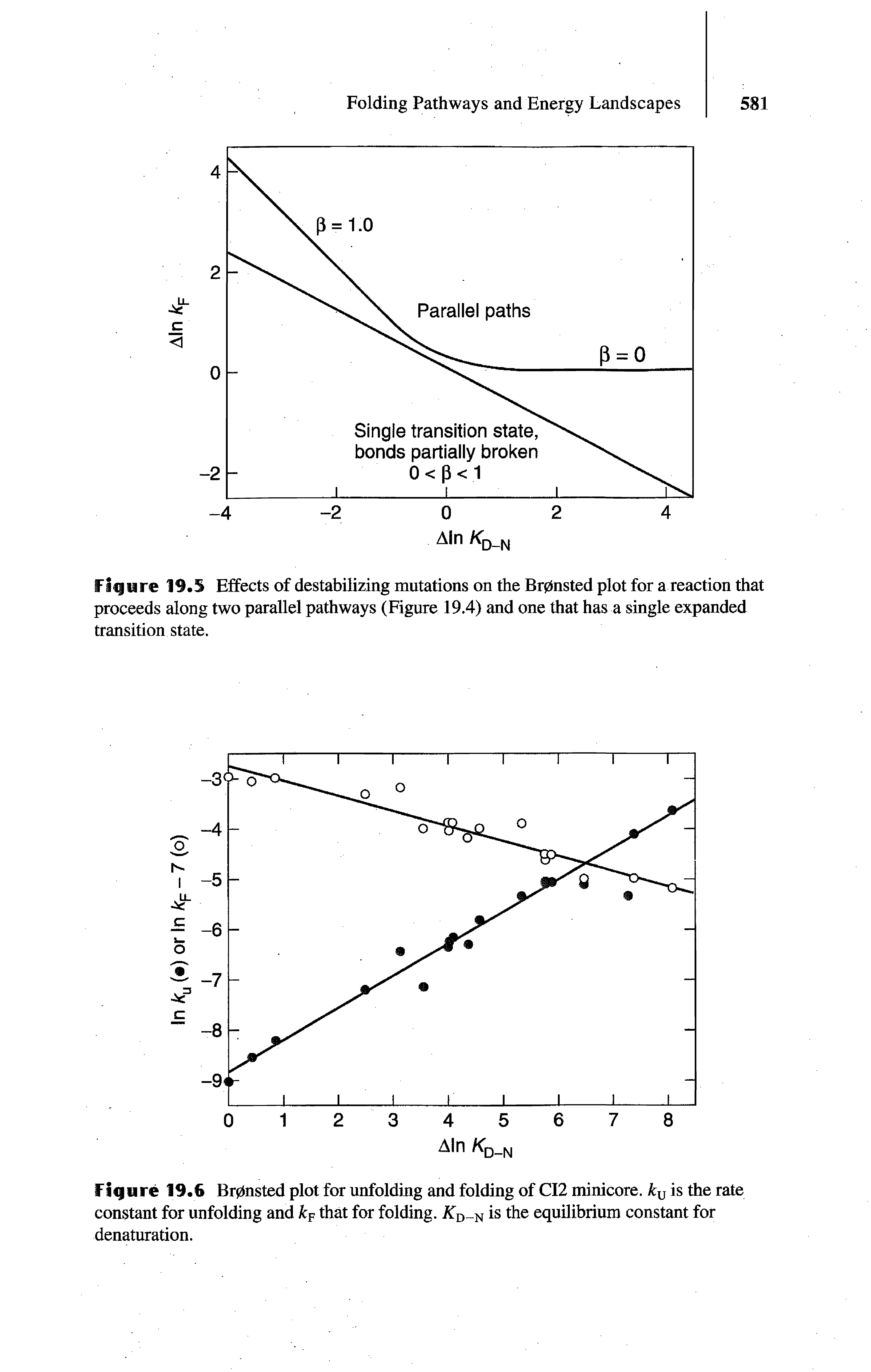 Figure 19.5 Effects of destabilizing mutations on the Brpnsted plot for a reaction that proceeds along two parallel pathways (Figure 19.4) and one that has a single expanded transition state.