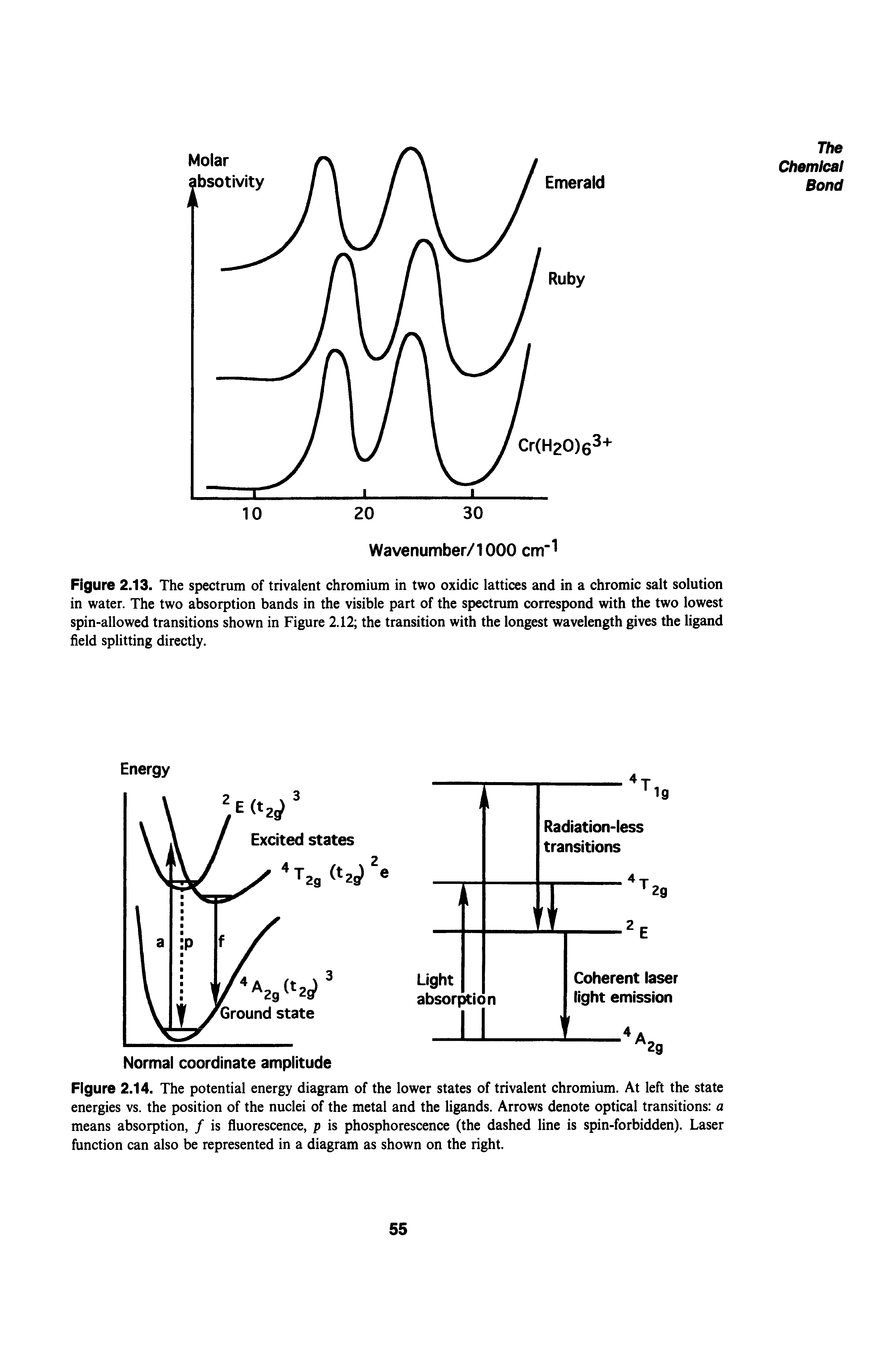 Figure 2.14. The potential energy diagram of the lower states of trivalent chromium. At left the state energies vs. the position of the nuclei of the metal and the ligands. Arrows denote optical transitions a means absorption, / is fluorescence, p is phosphorescence (the dashed line is spin-forbidden). Laser function can also be represented in a diagram as shown on the right.