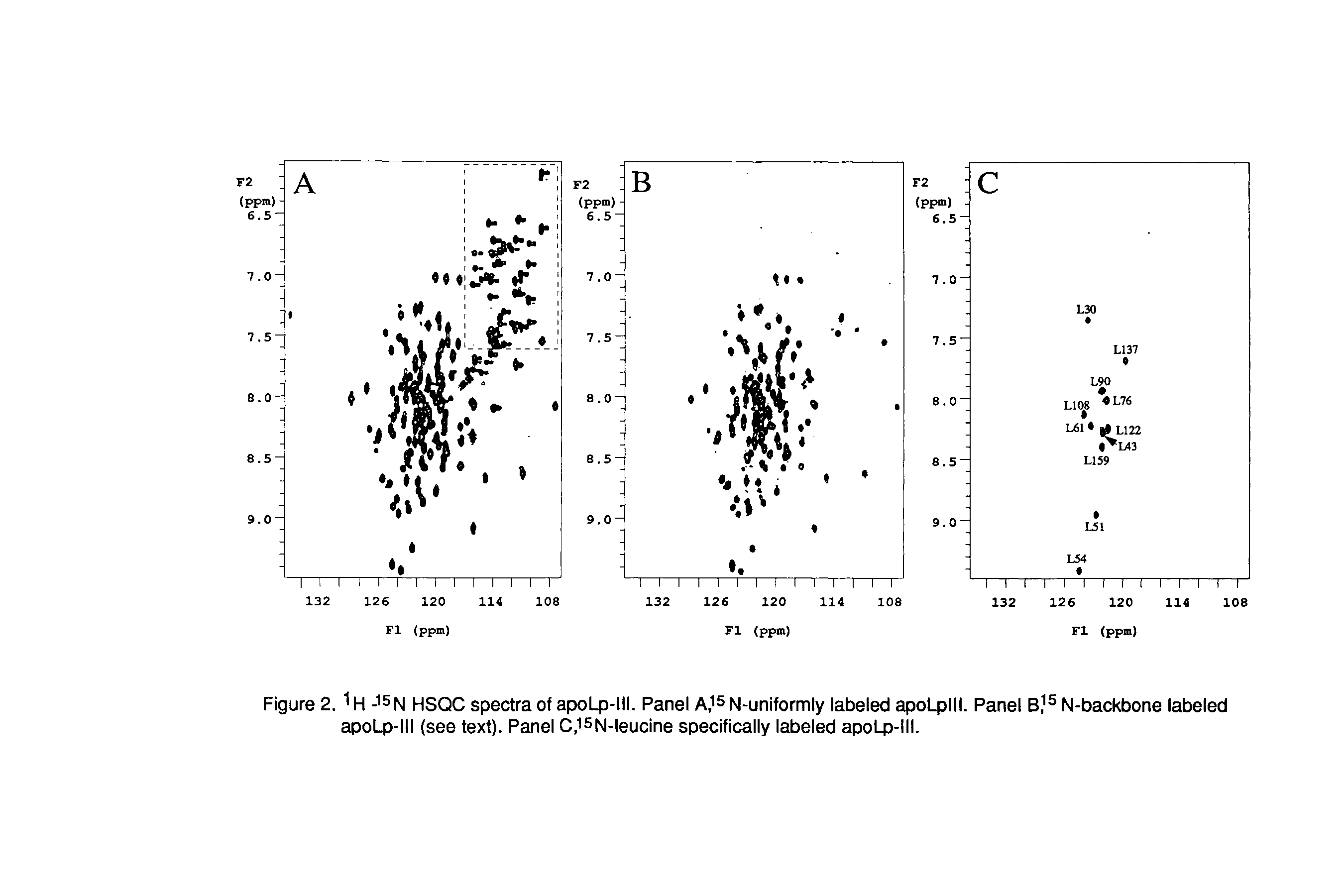 Figure 2. H hsqC spectra of apoLp-lll. Panel N-uniformly labeled apoLplll. Panel N-backbone labeled apoLp-lll (see text). Panel C,15N-Ieucine specifically labeled apoLp-lll.