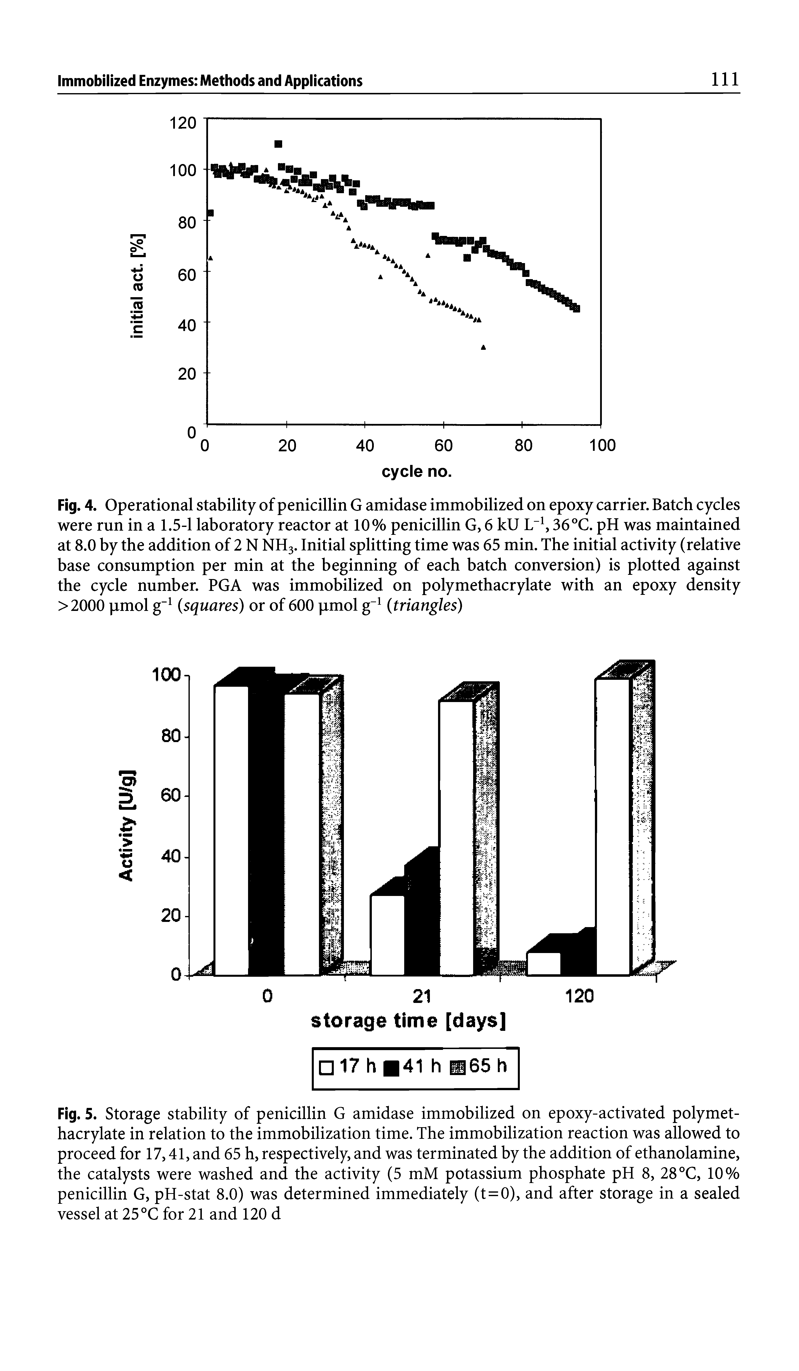 Fig. 4. Operational stability of penicillin G amidase immobilized on epoxy carrier. Batch cycles were run in a 1.5-1 laboratory reactor at 10% penicillin G, 6 kU L 36 °C. pH was maintained at 8.0 by the addition of 2 N NH3. Initial splitting time was 65 min. The initial activity (relative base consumption per min at the beginning of each batch conversion) is plotted against the cycle number. PGA was immobilized on polymethacrylate with an epoxy density >2000 pmol g" (squares) or of 600 pmol g" (triangles)...