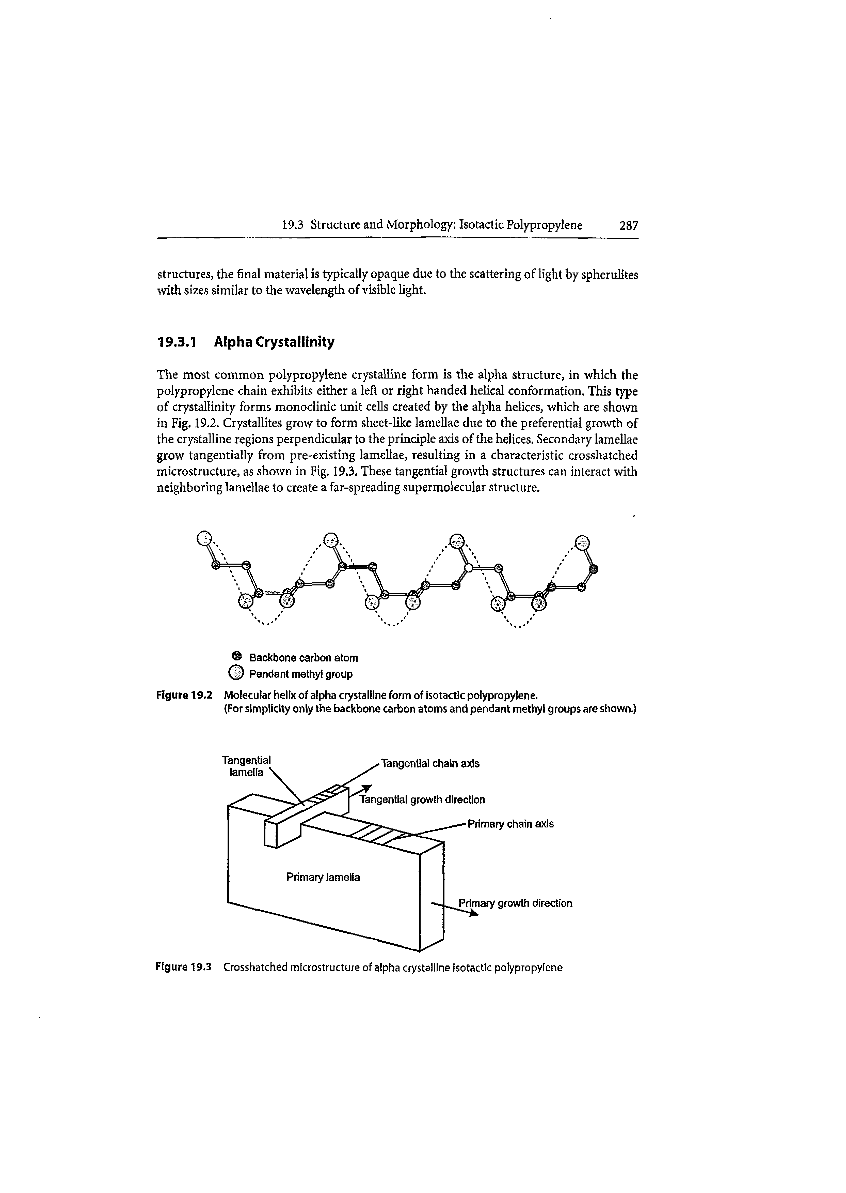Figure 19.3 Crosshatched microstructure of alpha crystalline isotactrc polypropylene...