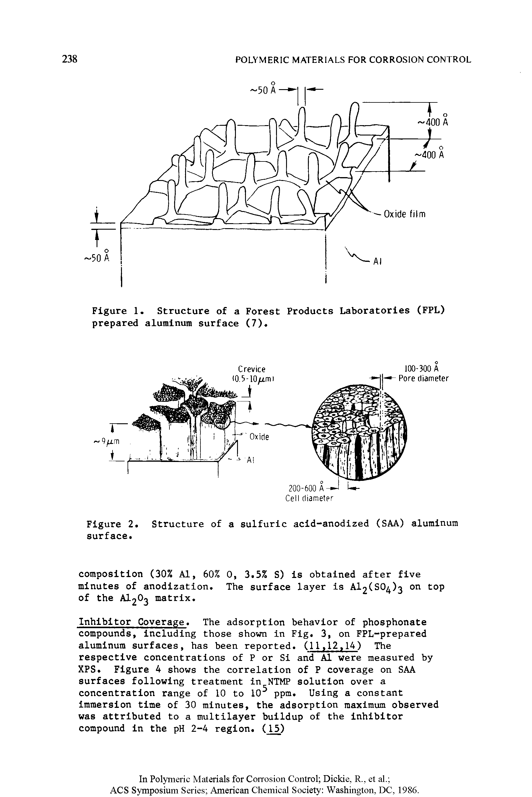 Figure 1. Structure of a Forest Products Laboratories (FPL) prepared aluminum surface (7).