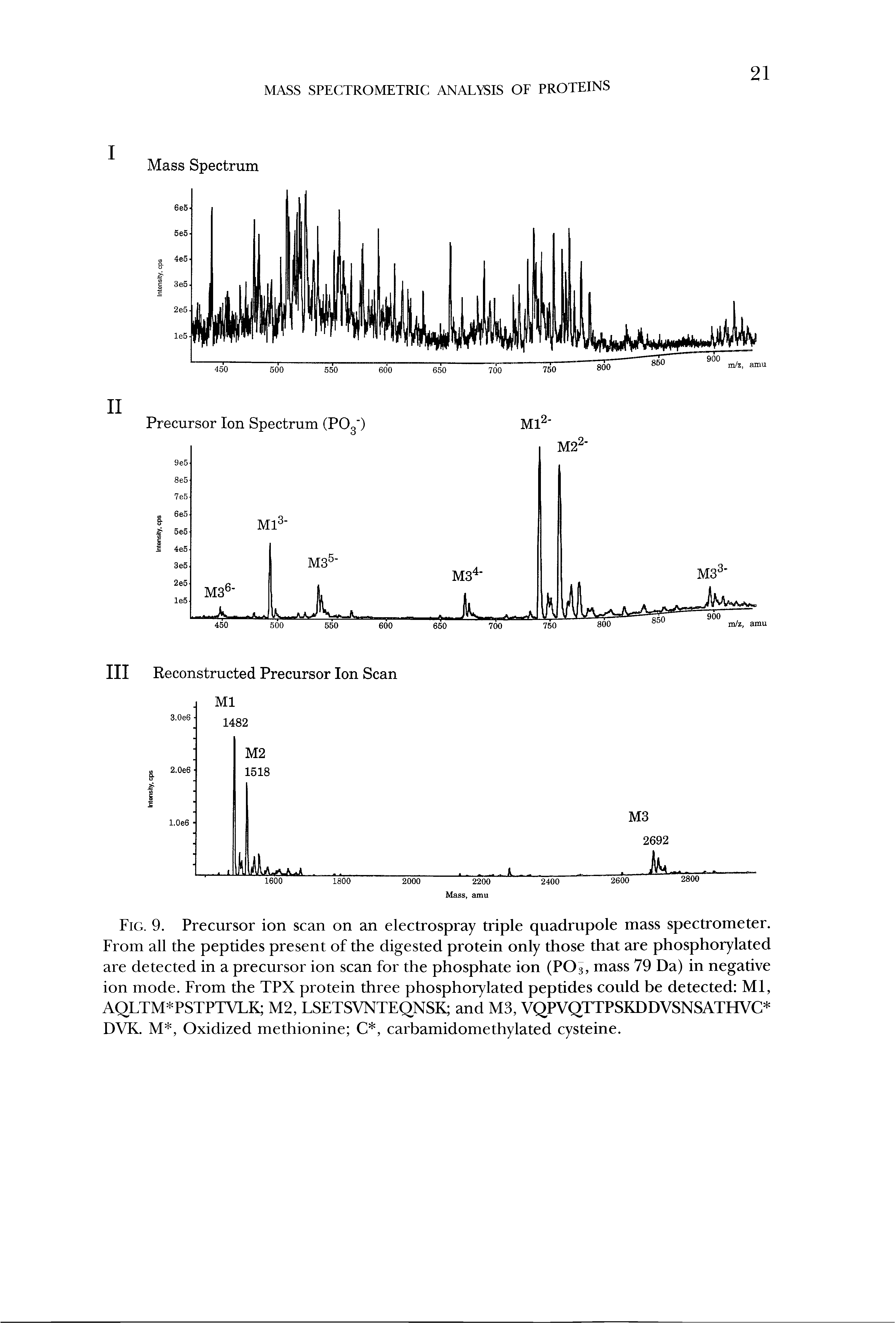 Fig. 9. Precursor ion scan on an electrospray triple quadrupole mass spectrometer. From all the peptides present of the digested protein only those that are phosphorylated are detected in a precursor ion scan for the phosphate ion (P03, mass 79 Da) in negative ion mode. From the TPX protein three phosphorylated peptides could be detected Ml, AQLTM PSTPTVLK M2, LSETSVNTEQNSK and M3, VQPVQTTPSKDDVSNSATHVC DVK. M, Oxidized methionine C, carbamidomethylated cysteine.