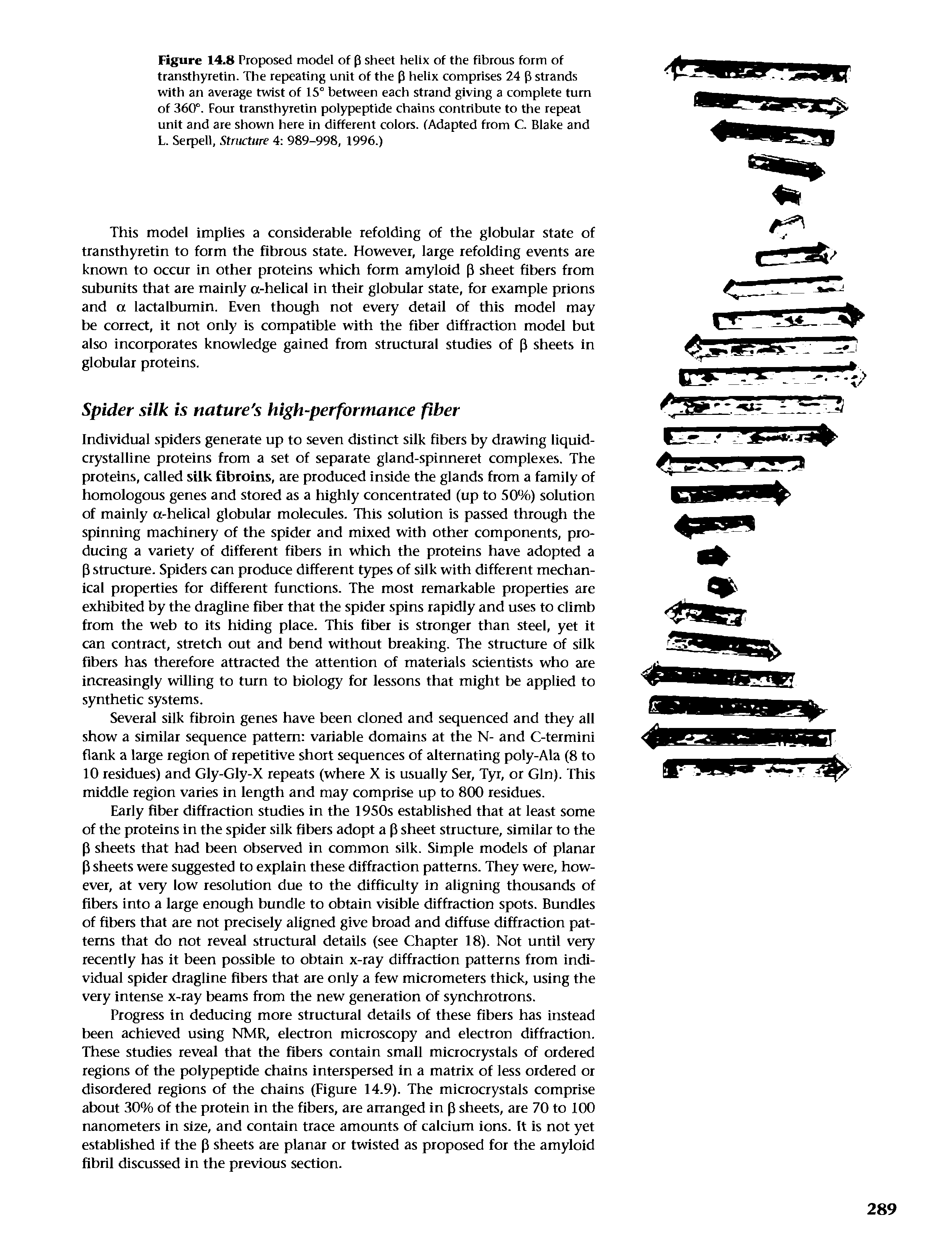 Figure 14.8 Proposed model of p sheet helix of the fibrous form of transthyretin. The repeating unit of the P helix comprises 24 P strands with an average twist of 15° between each strand giving a complete turn of 360°. Four transthyretin polypeptide chains contribute to the repeat unit and are shown here in different colors. (Adapted from C. Blake and L. Serpell, Structure 4 989-998, 1996.)...