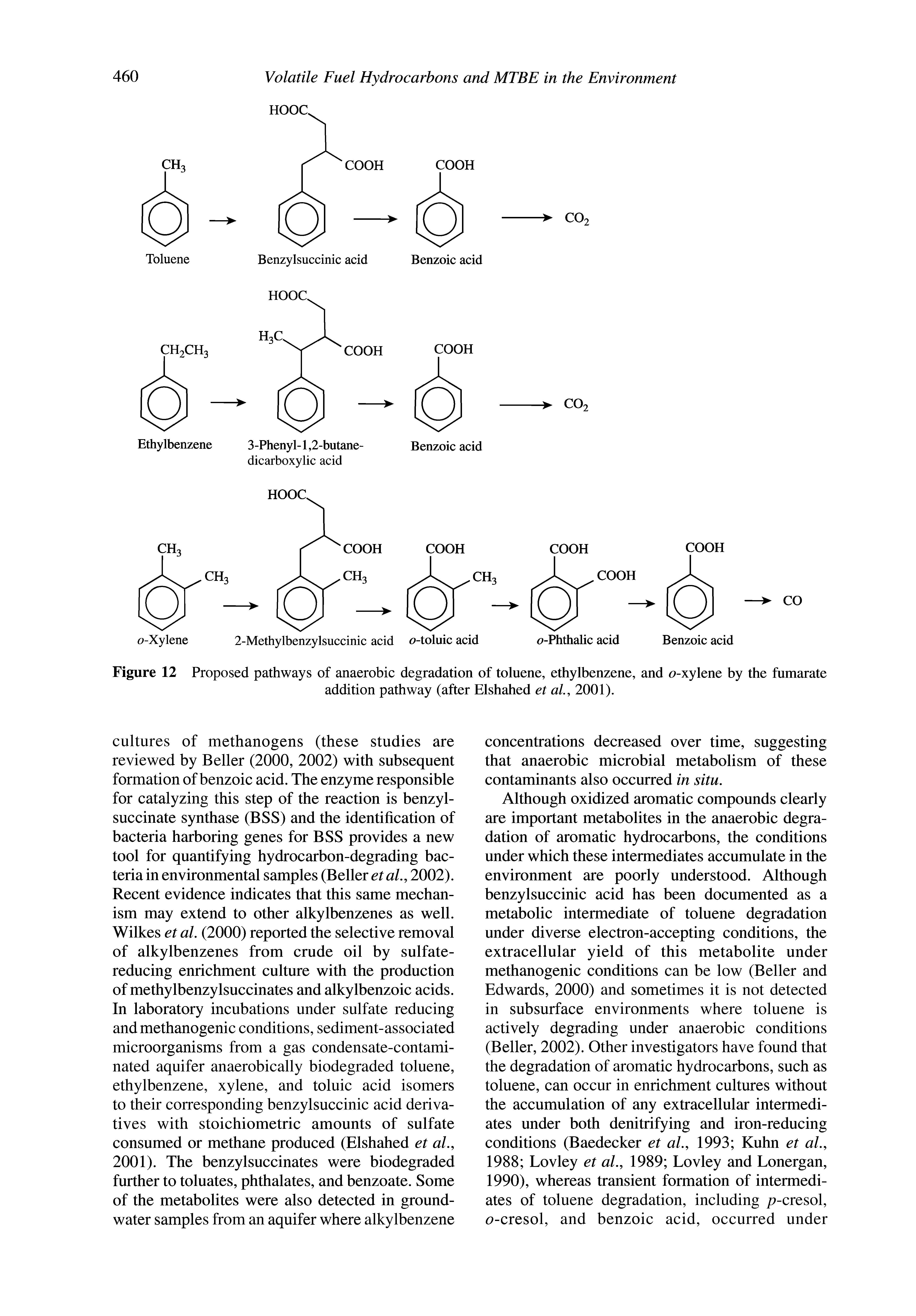 Figure 12 Proposed pathways of anaerobic degradation of toluene, ethylbenzene, and o-xylene by the fumarate...