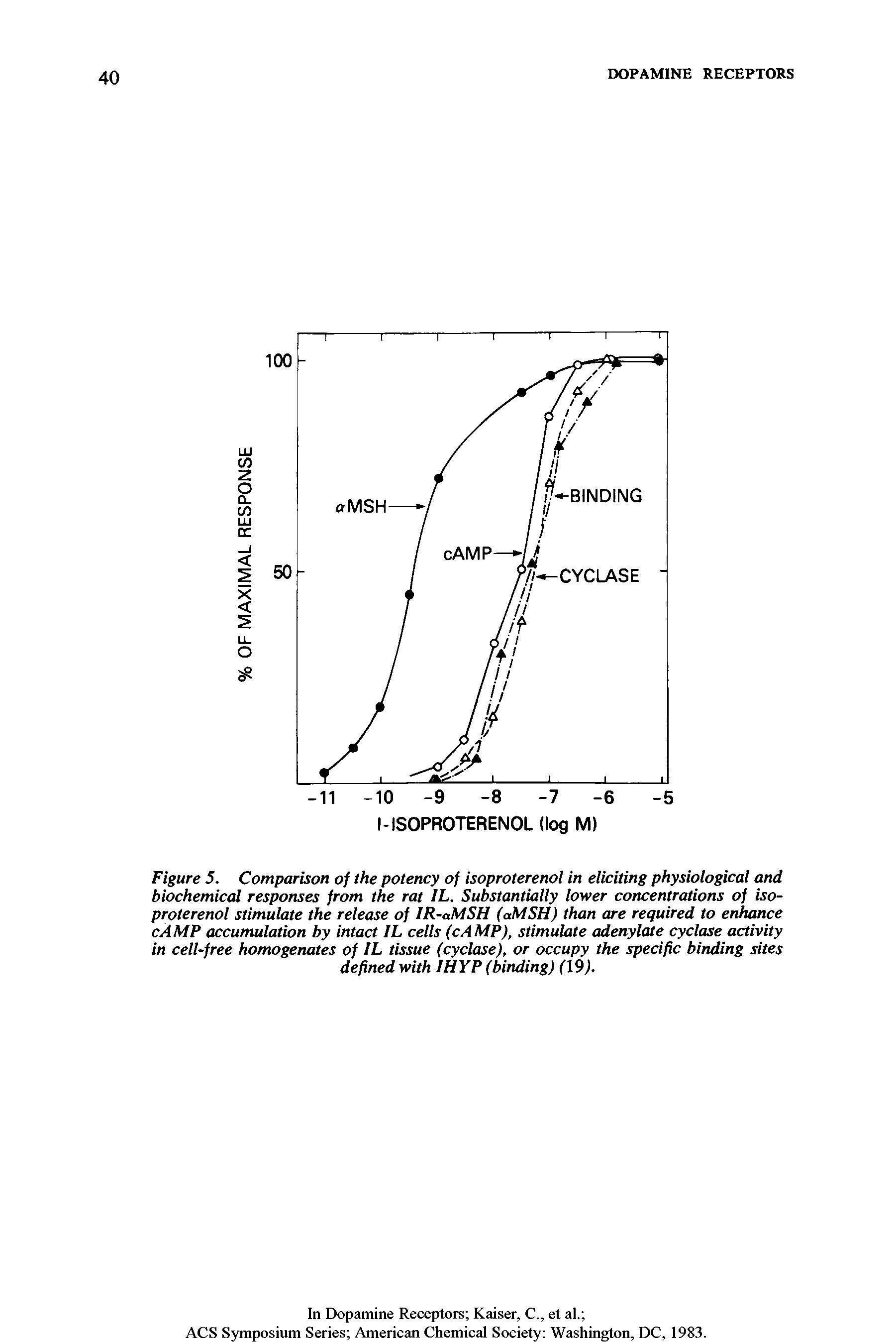 Figure 5. Comparison of the potency of isoproterenol in eliciting physiological and biochemical responses from the rat IL. Substantially lower concentrations of isoproterenol stimulate the release of IR-aMSH (aMSH) than are required to enhance cAMP accumulation by intact IL cells (cAMP), stimulate adenylate cyclase activity in cell-free homogenates of IL tissue (cyclase), or occupy the specific binding sites defined with IHYP (binding) (19).