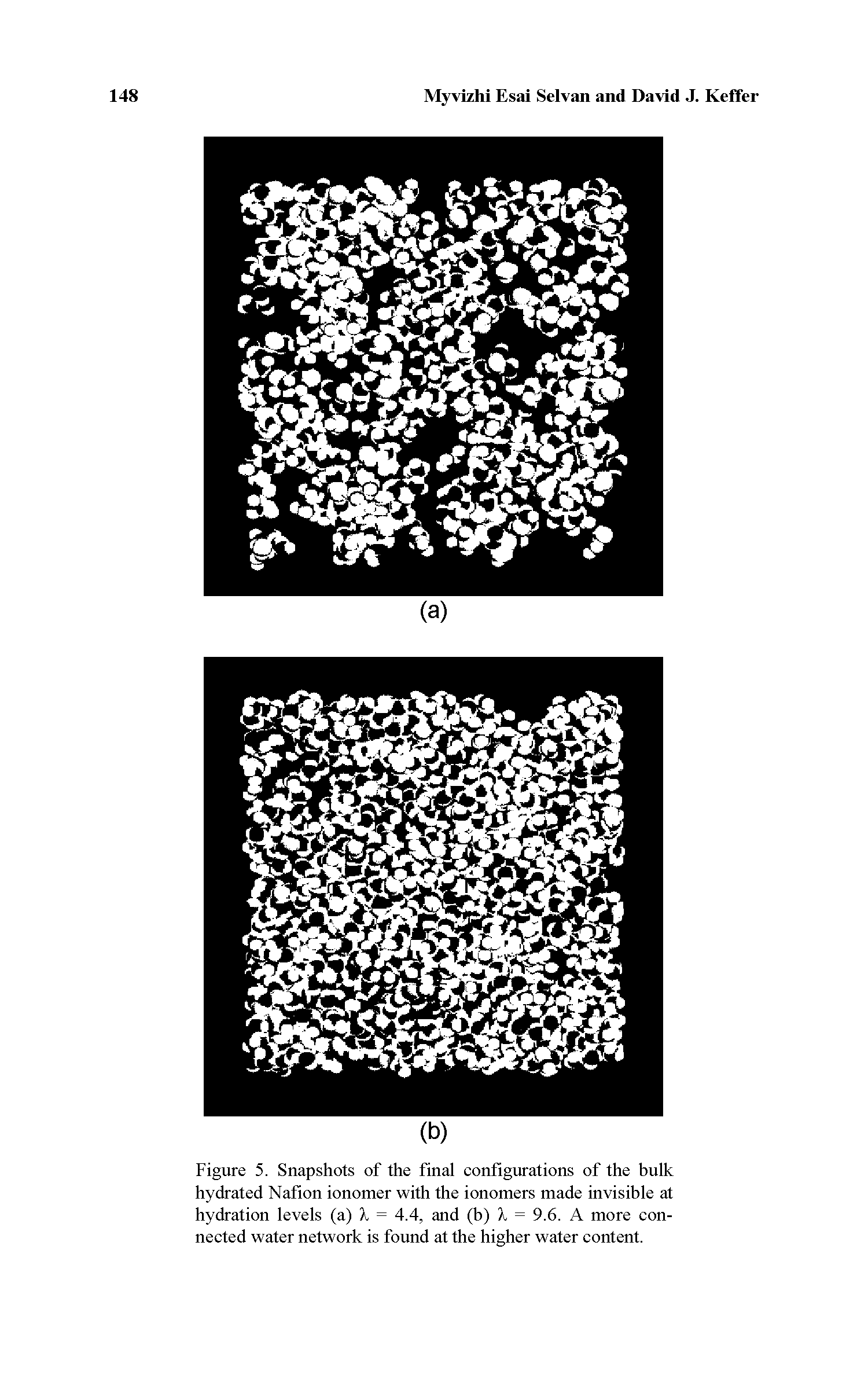 Figure 5. Snapshots of the final configurations of the bulk hydrated Nafion ionomer with the ionomers made invisible at hydration levels (a) X = 4.4, and (b) X = 9.6. A more connected water network is found at the higher water content.