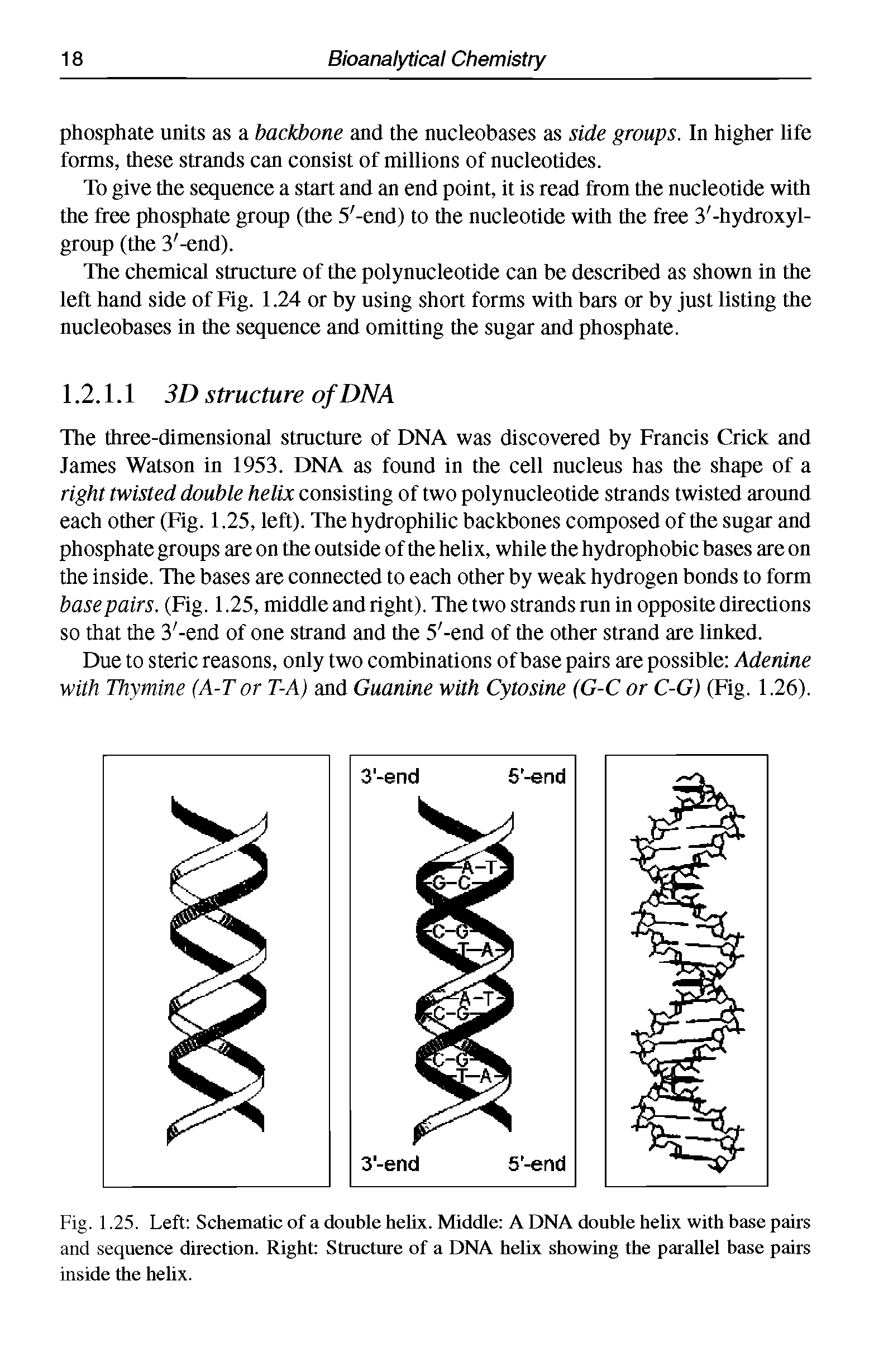 Fig. 1.25. Left Schematic of a double hehx. Middle A DNA double helix with base pairs and sequence direction. Right Structure of a DNA helix showing the parallel base pairs inside the helix.