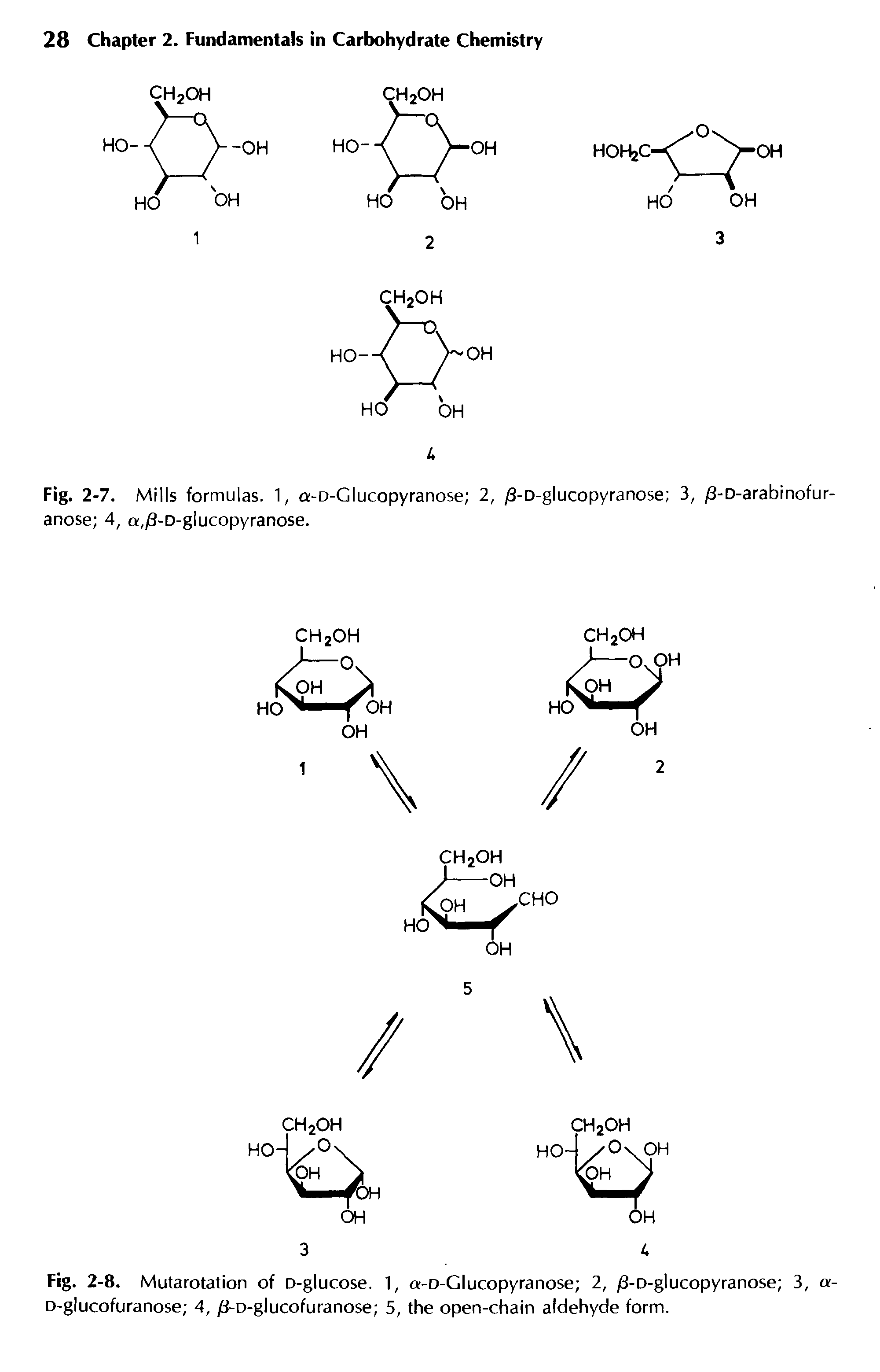 Fig. 2-8. Mutarotation of D-glucose. 1, a-D-Glucopyranose 2, /3-D-glucopyranose 3, a-D-glucofuranose 4, /3-D-glucofuranose 5, the open-chain aldehyde form.