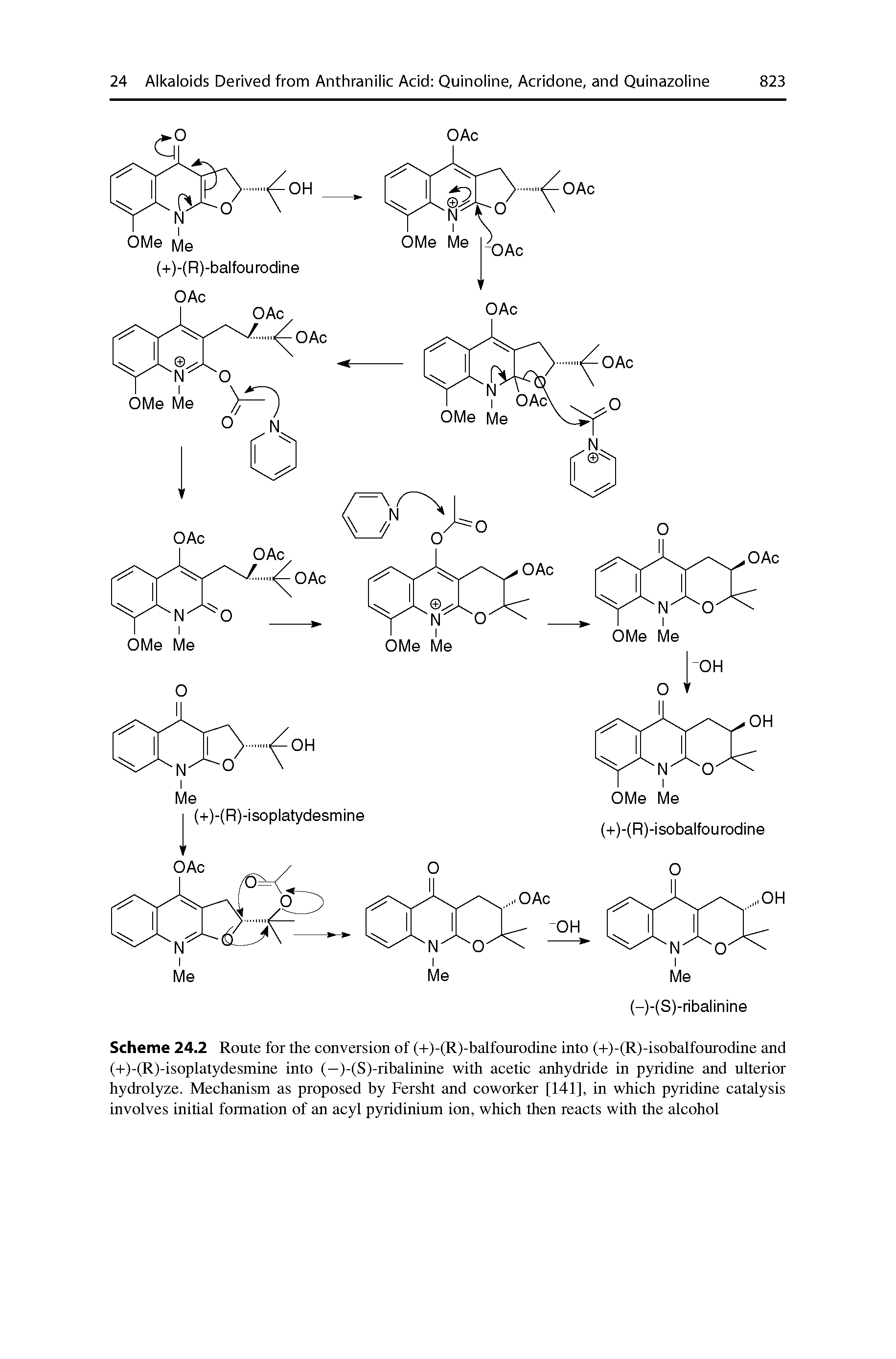 Scheme 24.2 Route for the conversion of (+)-(R)-balfourodine into (+)-(R)-isobalfourodine and (+)-(R)-isoplatydesmine into (—)-(S)-ribalinine with acetic anhydride in pyridine and ulterior hydrolyze. Mechanism as proposed by Fersht and coworker [141], in which pyridine catalysis involves initial formation of an acyl pyridinium ion, which then reacts with the alcohol...