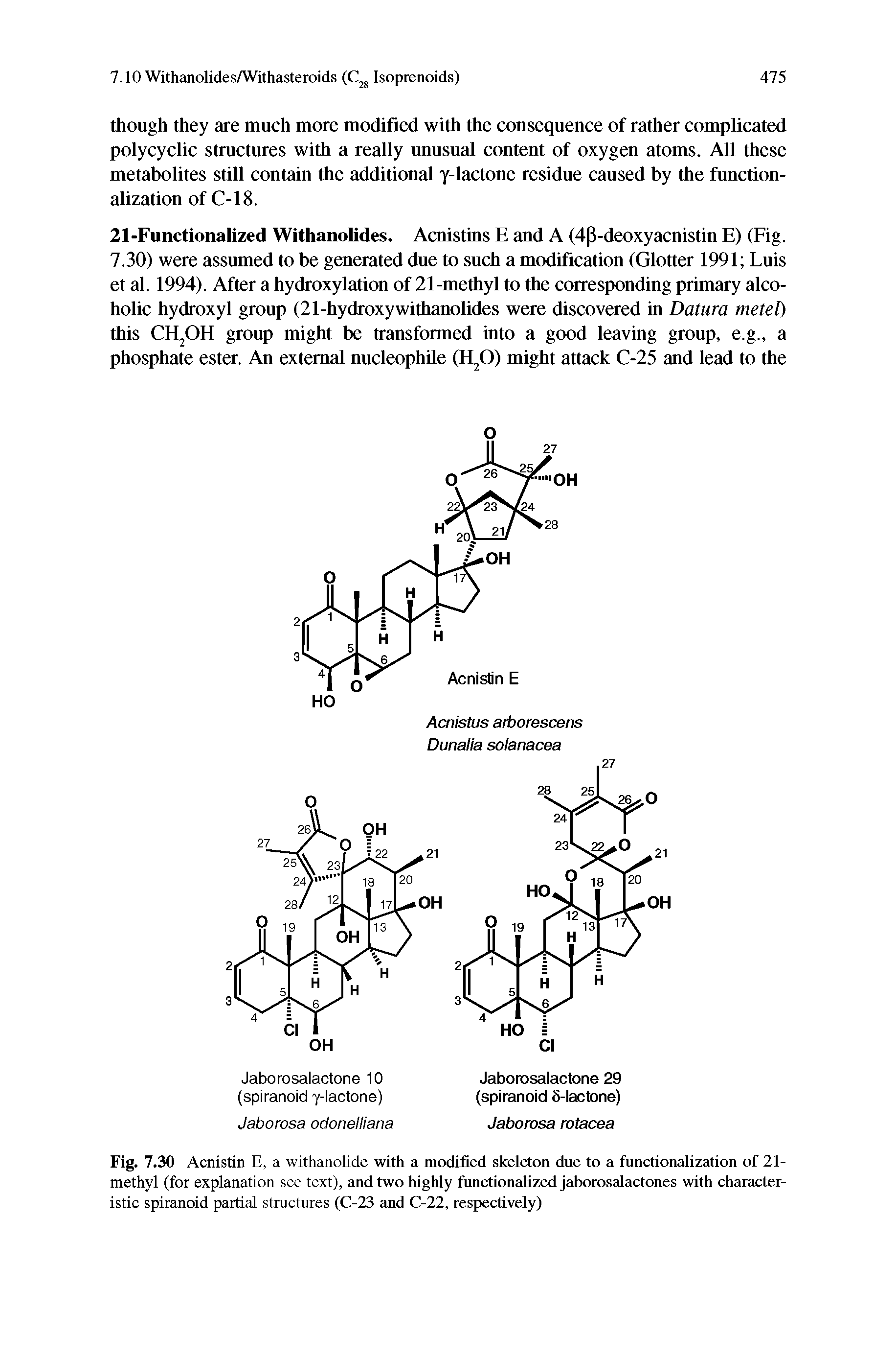 Fig. 7.30 Acnistin E, a withanolide with a modified skeleton due to a functionalization of 21-methyl (for explanation see text), and two highly functionalized jaborosalactones with characteristic spiranoid partial structures (C-23 and C-22, respectively)...