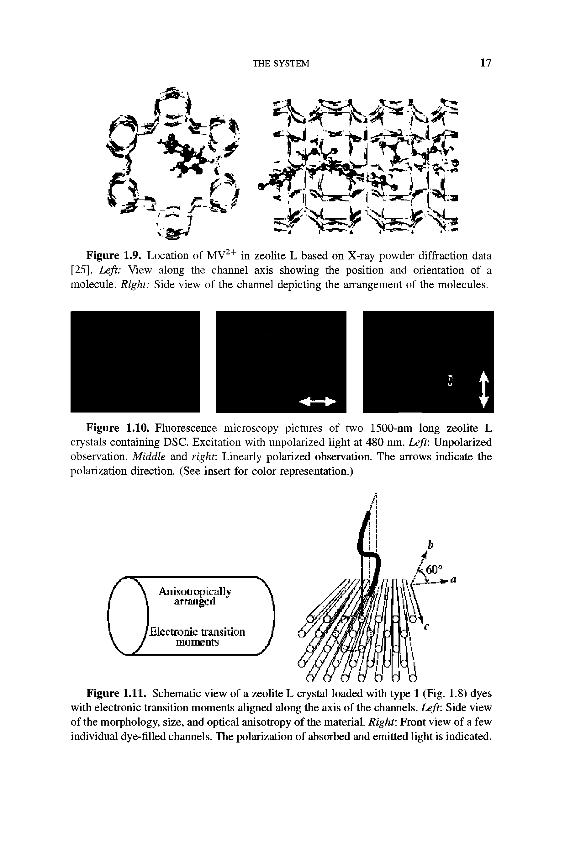 Figure 1.11. Schematic view of a zeolite L crystal loaded with type 1 (Fig. 1.8) dyes with electronic transition moments aligned along the axis of the channels. Left Side view of the morphology, size, and optical anisotropy of the material. Right Front view of a few individual dye-filled channels. The polarization of absorbed and emitted light is indicated.