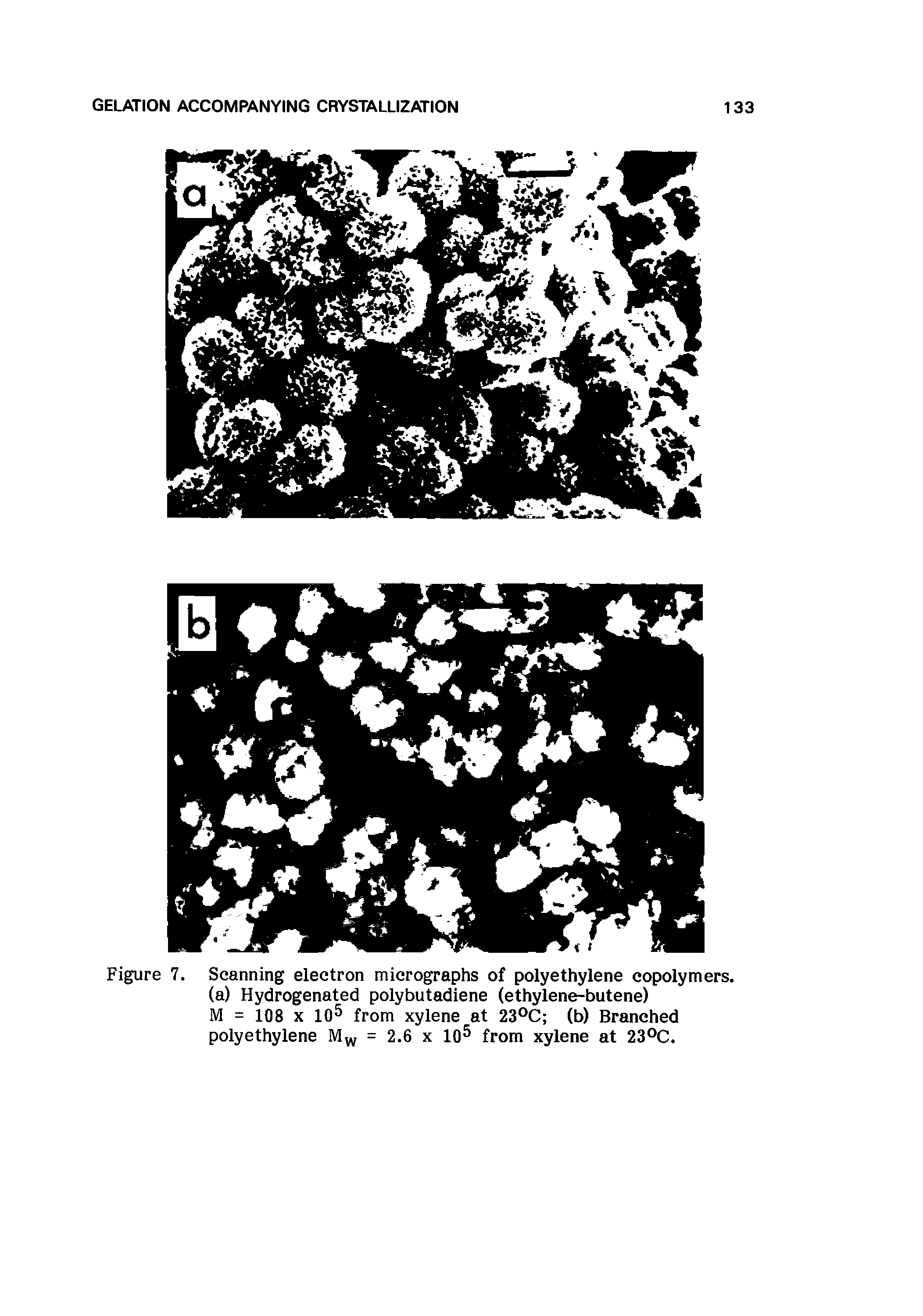 Figure 7. Scanning electron micrographs of polyethylene copolymers, (a) Hydrogenated polybutadiene (ethylene-butene)...