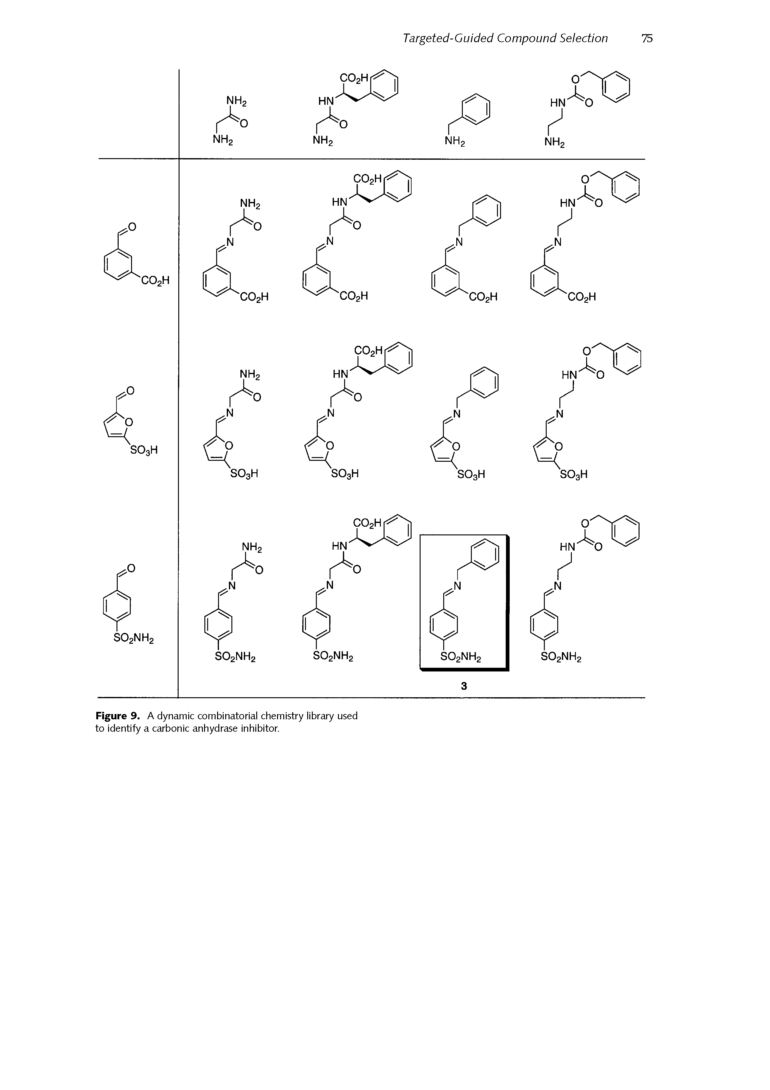 Figure 9. A dynamic combinatorial chemistry library used to identify a carbonic anhydrase inhibitor.