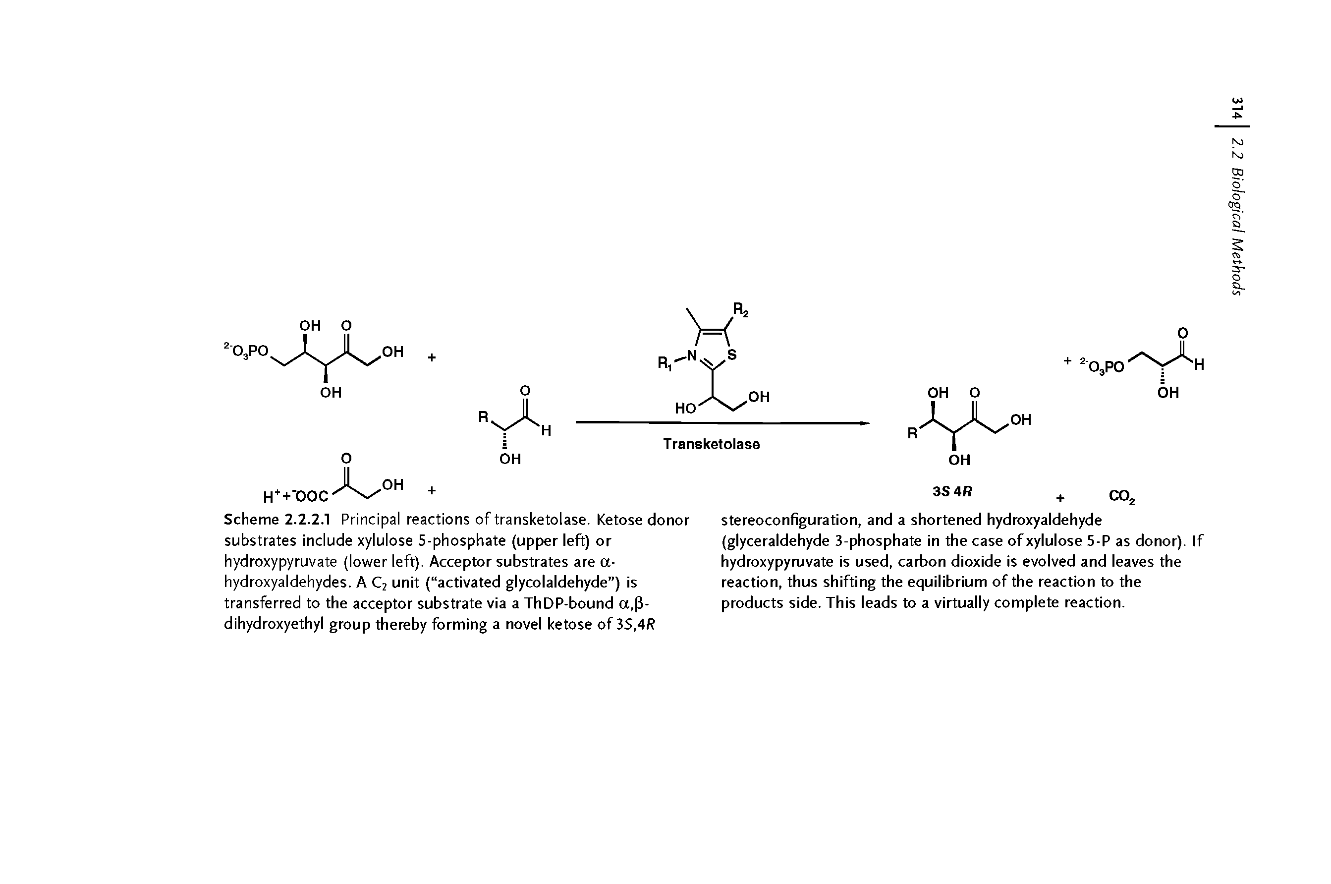 Scheme 2.2.2.1 Principal reactions of transketolase. Ketose donor substrates include xylulose 5-phosphate (upper left) or hydroxypyruvate (lower left). Acceptor substrates are a-hydroxyaldehydes. A C2 unit ( activated glycolaldehyde ) is transferred to the acceptor substrate via a ThDP-bound a, 3-dihydroxyethyl group thereby forming a novel ketose of 3S,4R...