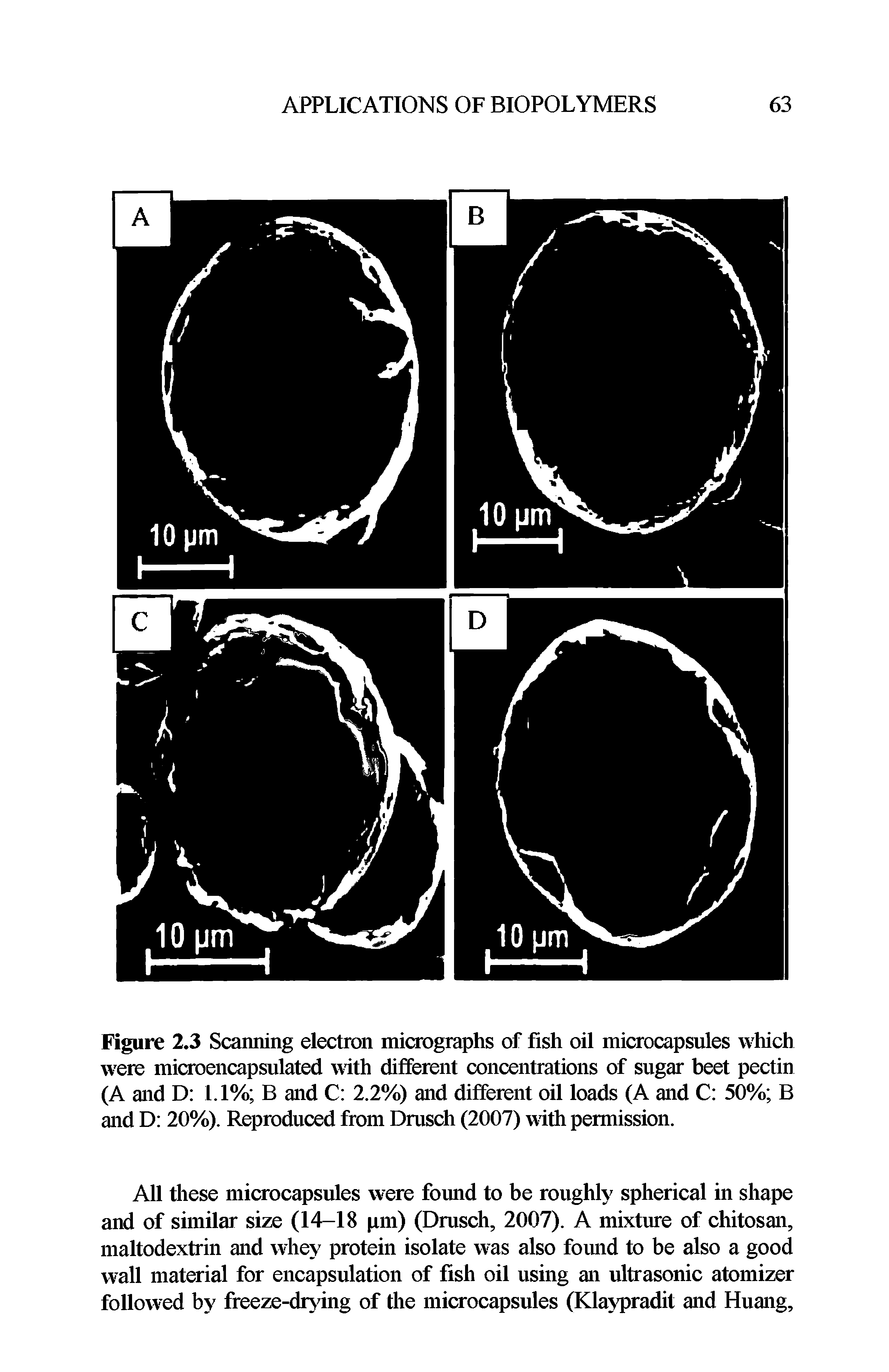 Figure 2.3 Scanning electron micrographs of fish oil microcapsules which were microencapsulated with different concentrations of sugar beet pectin (A and D 1.1% B and C 2.2%) and different oil loads (A and C 50% B and D 20%). Reproduced from Dmsch (2007) with permission.