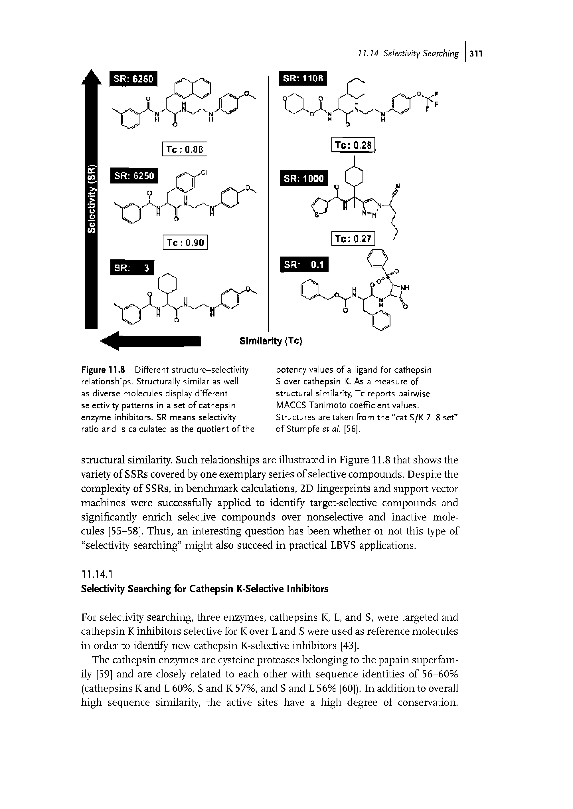 Figure 11.8 Different structure-selectivity relationships. Structurally similar as well as diverse molecules display different selectivity patterns in a set of cathepsin enzyme inhibitors. SR means selectivity ratio and is calculated as the quotient of the...