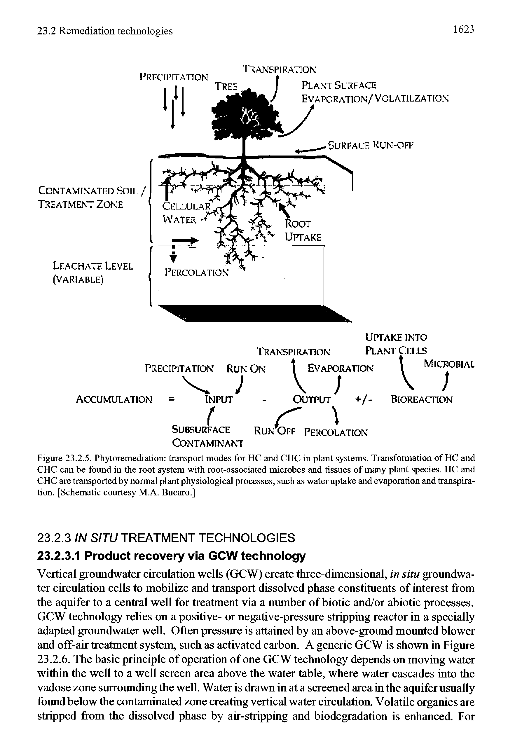 Figure 23.2.5. Phytoremediation transport modes for HC and CHC in plant systems. Transformation of HC and CHC can be found in the root system with root-associated microbes and tissues of many plant species. HC and CHC are transported by normal plant physiological processes, such as water uptake and evaporation and transpiration. [Schematic courtesy M.A. Bucaro.]...