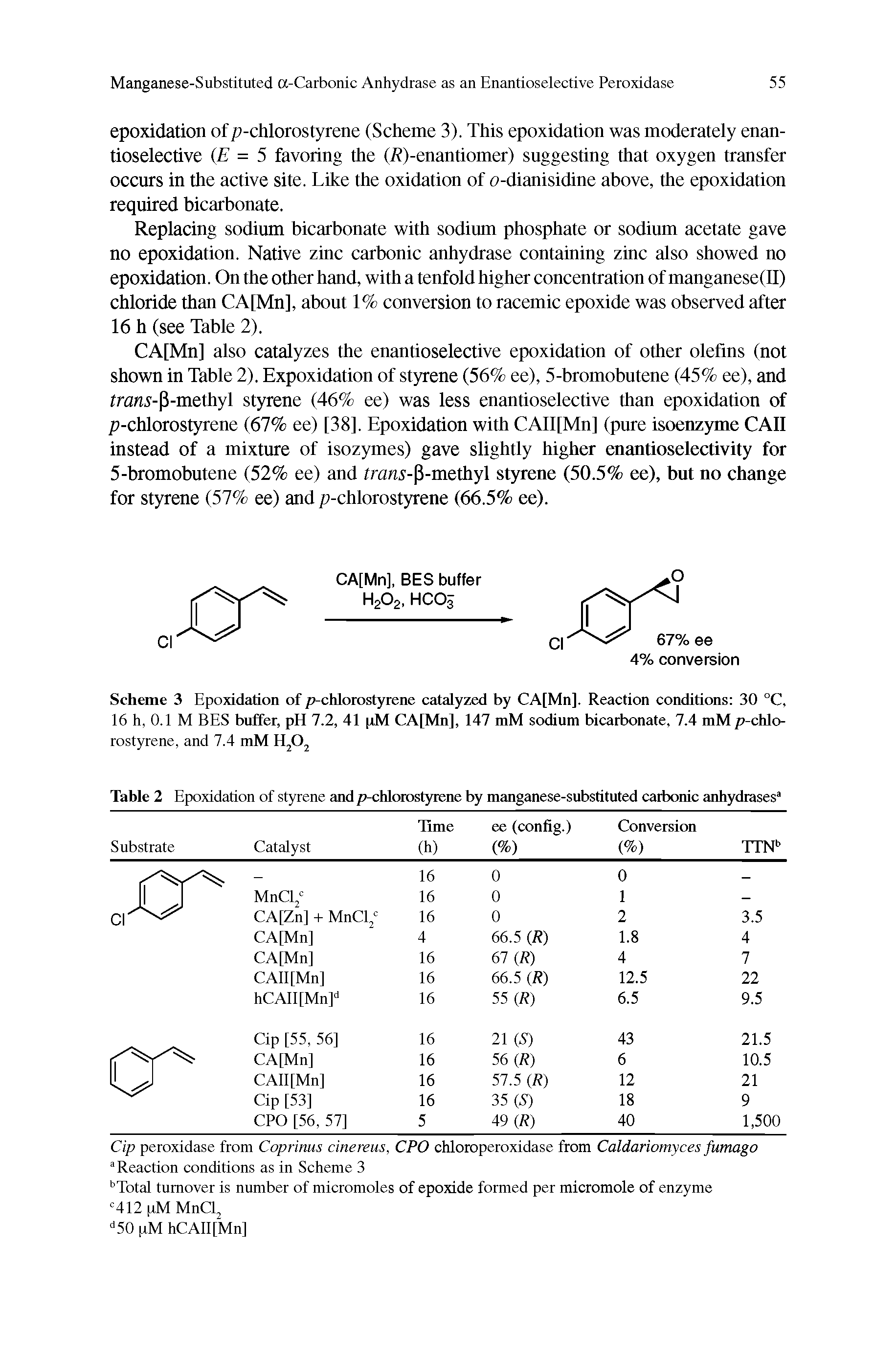 Table 2 Epoxidation of styrene and p-chlorostyrene by manganese-substituted carbonic anhydrases ...