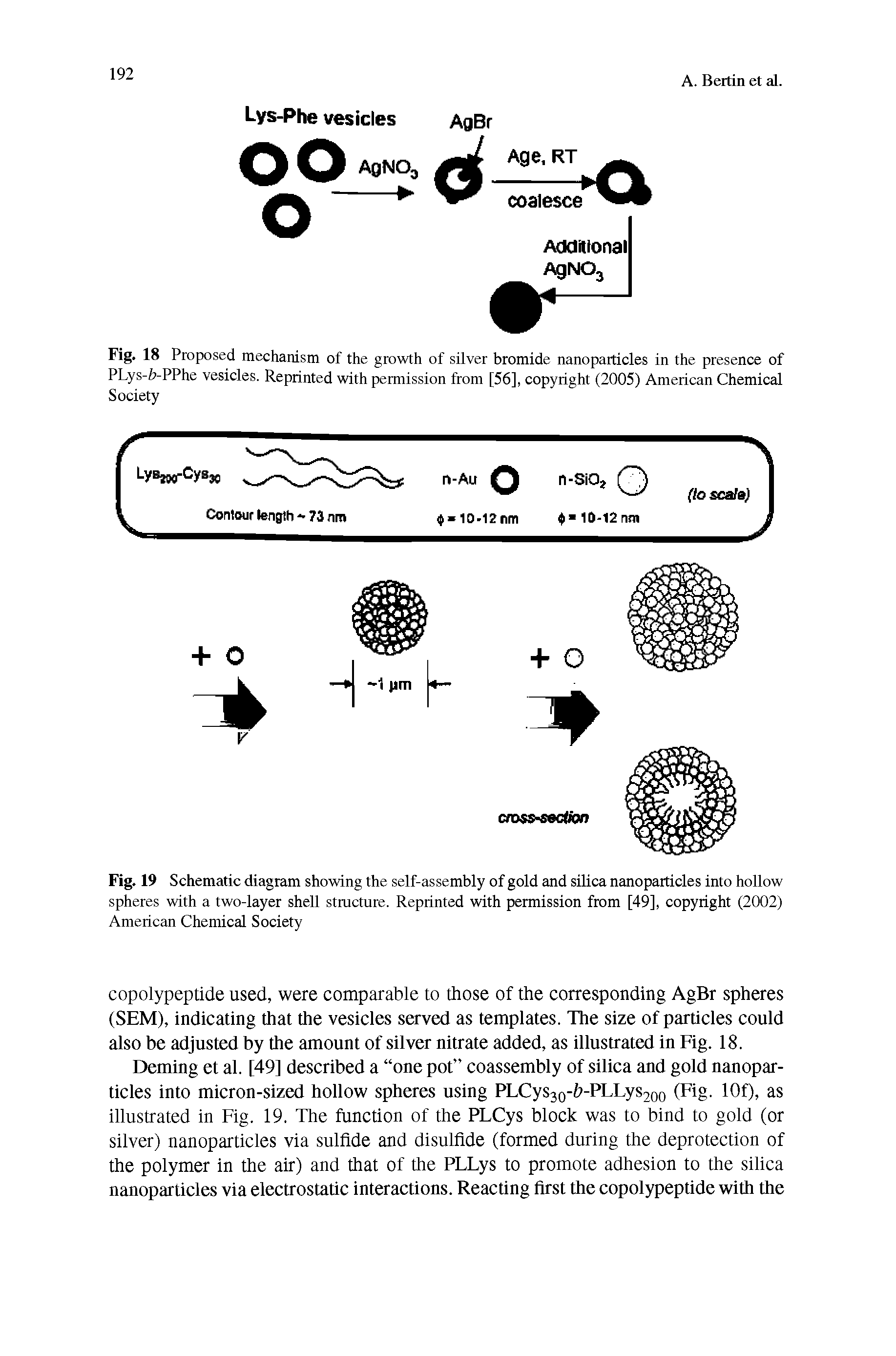 Fig. 19 Schematic diagram showing the self-assembly of gold and silica nanoparticles into hollow spheres with a two-layer shell structure. Reprinted with permission from [49], copyright (2002) American Chemical Society...