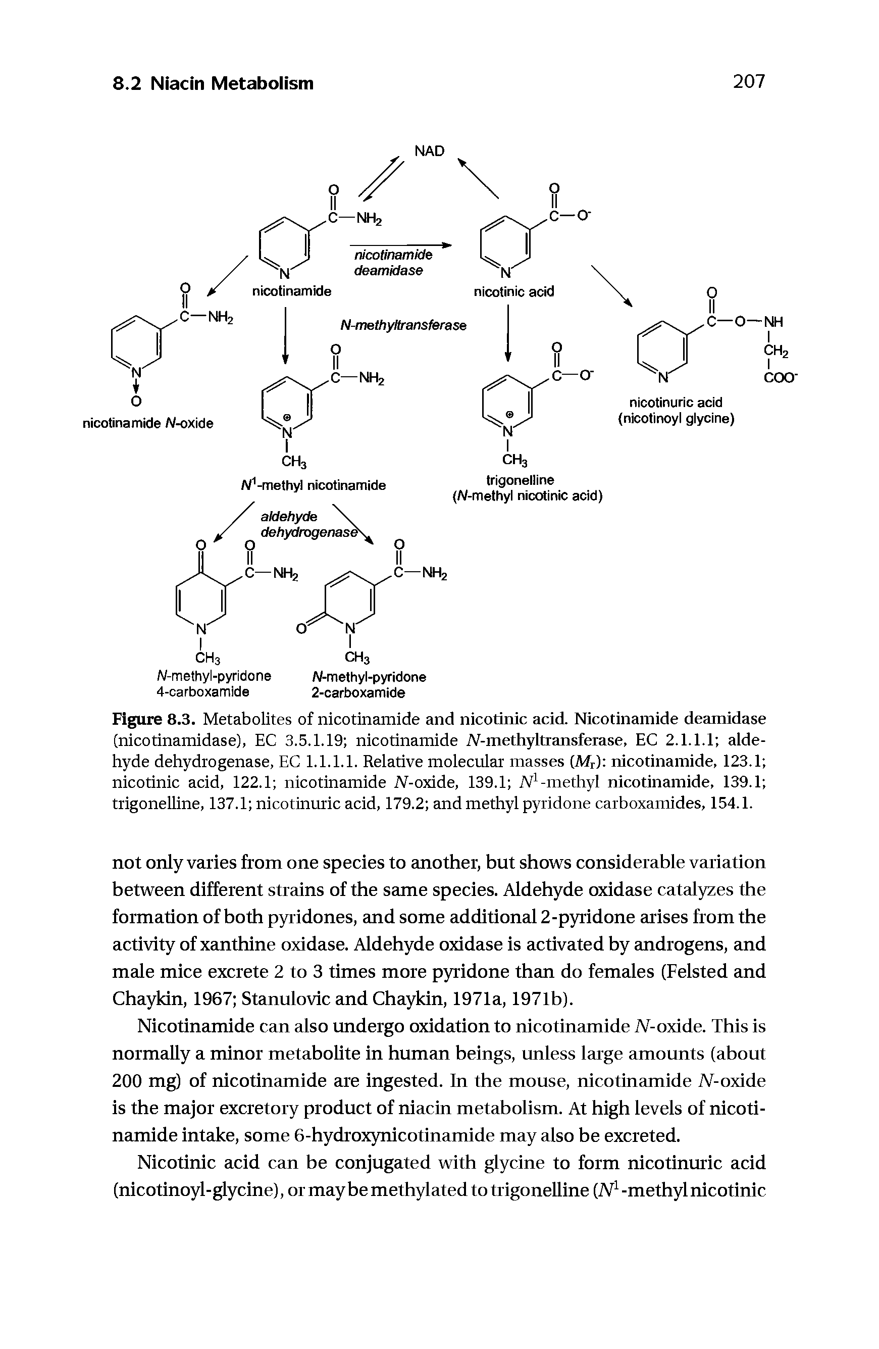 Figure 8.3. Metabolites of nicotinamide and nicotinic acid. Nicotinamide deamidase (nicotinamidase), EC 3.5.1.19 nicotinamide N-methyltransferase, EC 2.1.1.1 aldehyde dehydrogenase, EC 1.1.1.1. Relative molecular masses (Mr) nicotinamide, 123.1 nicotinic acid, 122.1 nicotinamide N-oxide, 139.1 iV -methyl nicotinamide, 139.1 trigonelline, 137.1 nicotinuiic acid, 179.2 and methyl pyridone carboxamides, 154.1.