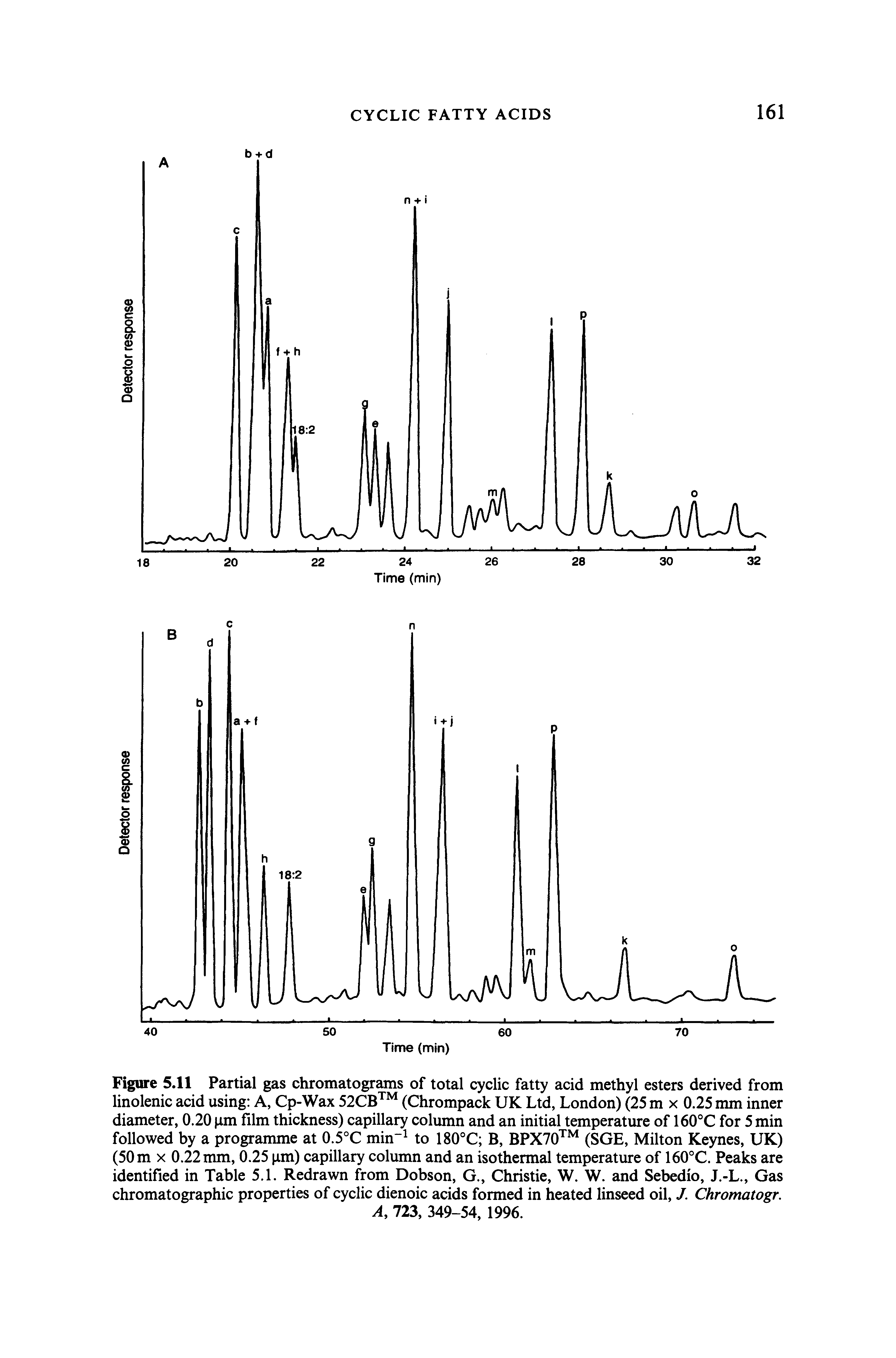 Figure 5.11 Partial gas chromatograms of total cyclic fatty acid methyl esters derived from linolenic acid using A, Cp-Wax 52CB (Chrompack UK Ltd, London) (25 m x 0.25 mm inner diameter, 0.20 pm film thickness) capillary column and an initial temperature of 160°C for 5 min followed by a programme at 0.5°C min to 180°C B, BPX70 (SGE, Milton Keynes, UK) (50 m X 0.22 mm, 0.25 pm) capillary column and an isothermal temperature of 160°C. Peaks are identified in Table 5.1. Redrawn from Dobson, G., Christie, W. W. and Sebedio, J.-L., Gas chromatographic properties of cyclic dienoic acids formed in heated linseed oil, J. Chromatogr.