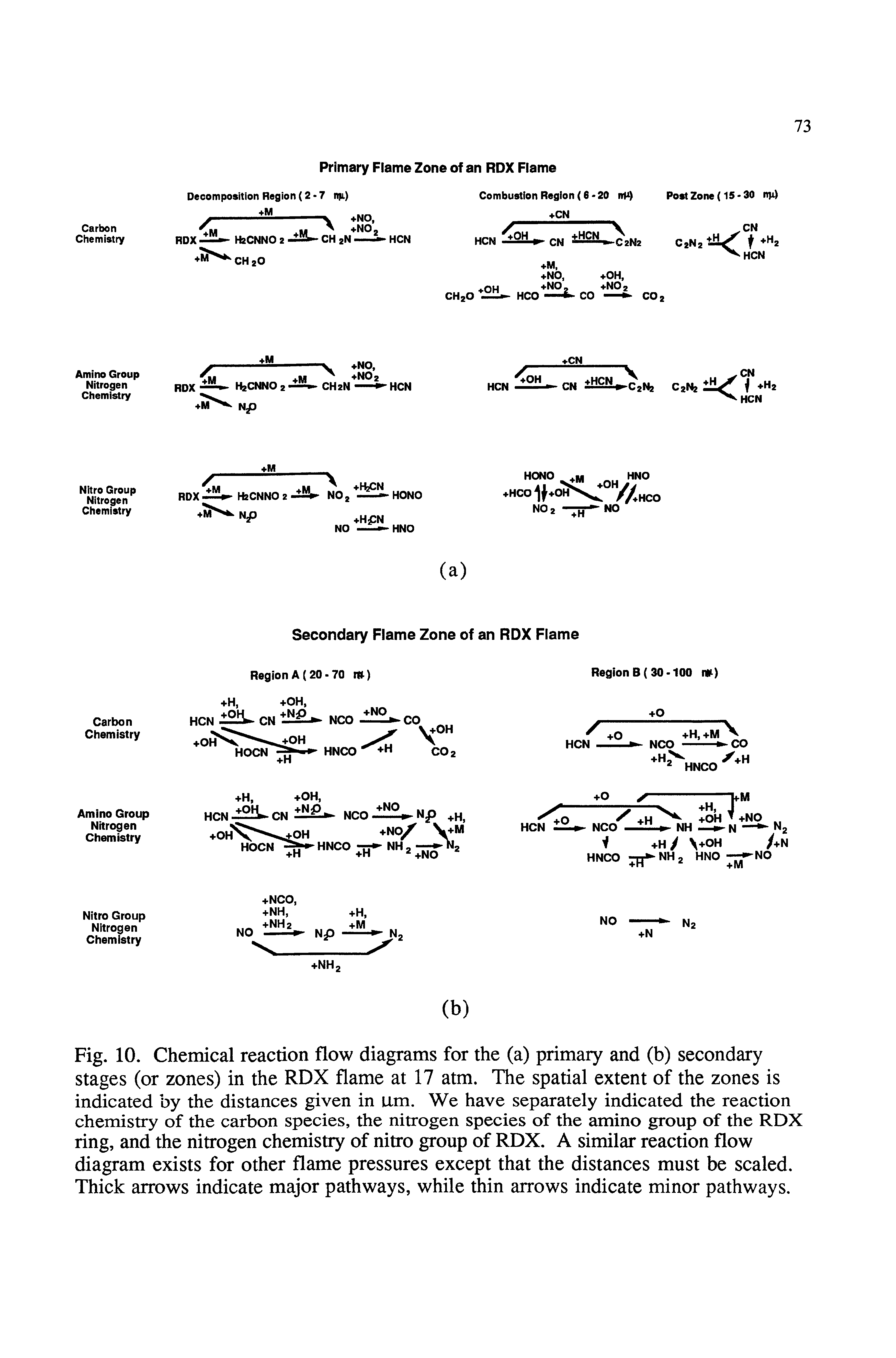 Fig. 10. Chemical reaction flow diagrams for the (a) primary and (b) secondary stages (or zones) in the RDX flame at 17 atm. The spatial extent of the zones is indicated by the distances given in um. We have separately indicated the reaction chemistry of the carbon species, the nitrogen species of the amino group of the RDX ring, and the nitrogen chemistry of nitro group of RDX. A similar reaction flow diagram exists for other flame pressures except that the distances must be scaled. Thick arrows indicate major pathways, while thin arrows indicate minor pathways.