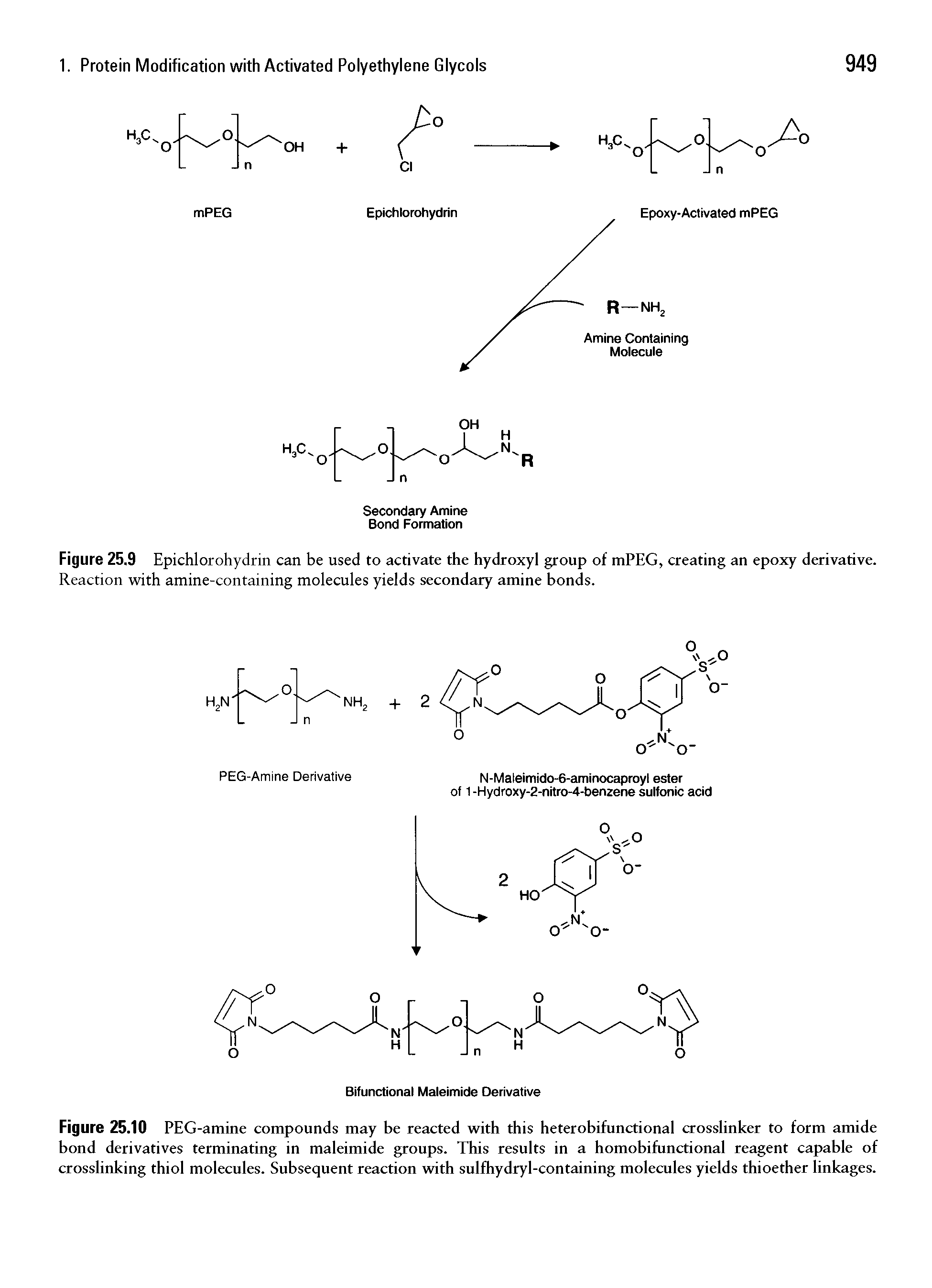 Figure 25.9 Epichlorohydrin can be used to activate the hydroxyl group of mPEG, creating an epoxy derivative. Reaction with amine-containing molecules yields secondary amine bonds.