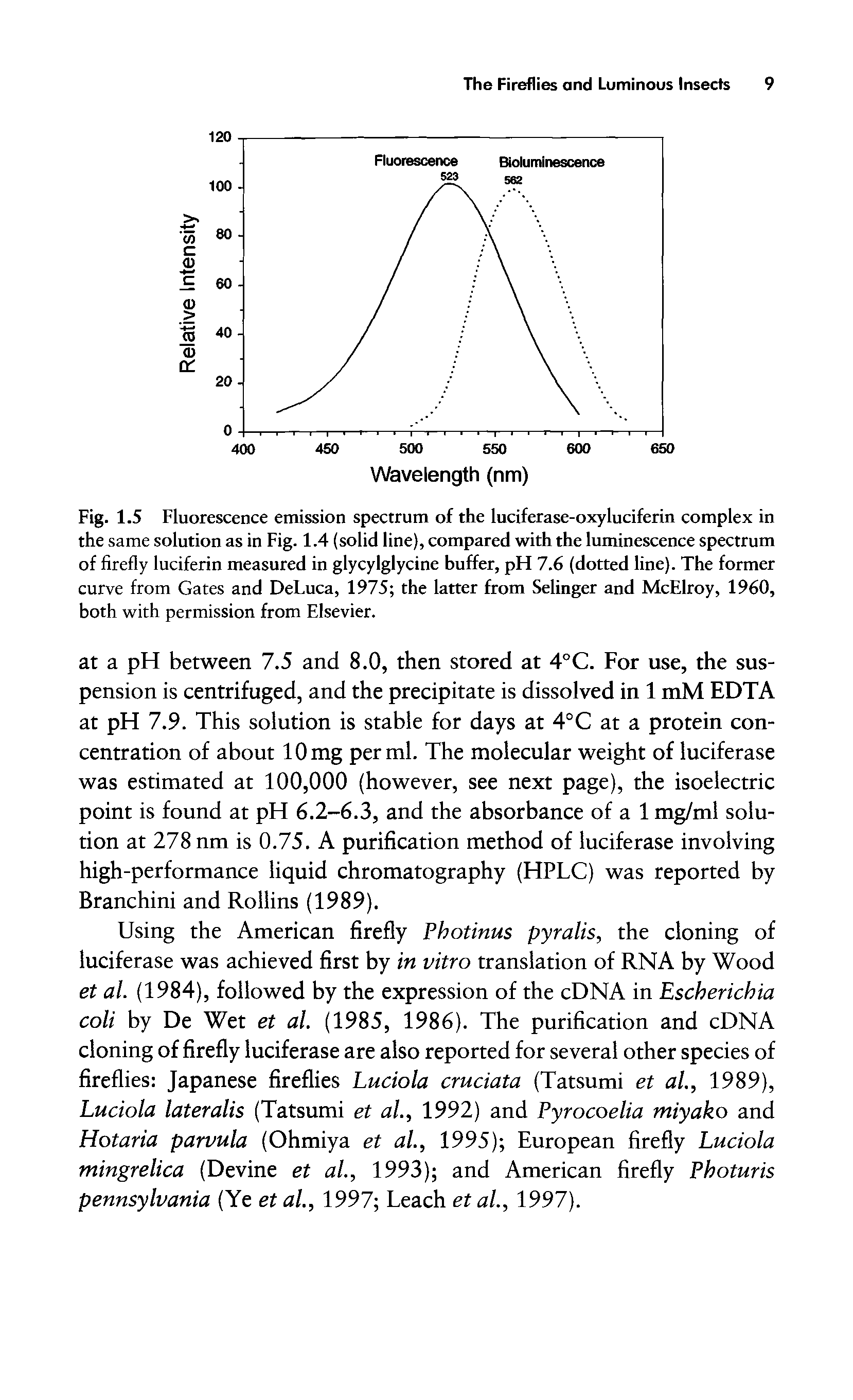 Fig. 1.5 Fluorescence emission spectrum of the luciferase-oxyluciferin complex in the same solution as in Fig. 1.4 (solid line), compared with the luminescence spectrum of firefly luciferin measured in glycylglycine buffer, pH 7.6 (dotted line). The former curve from Gates and DeLuca, 1975 the latter from Selinger and McElroy, 1960, both with permission from Elsevier.
