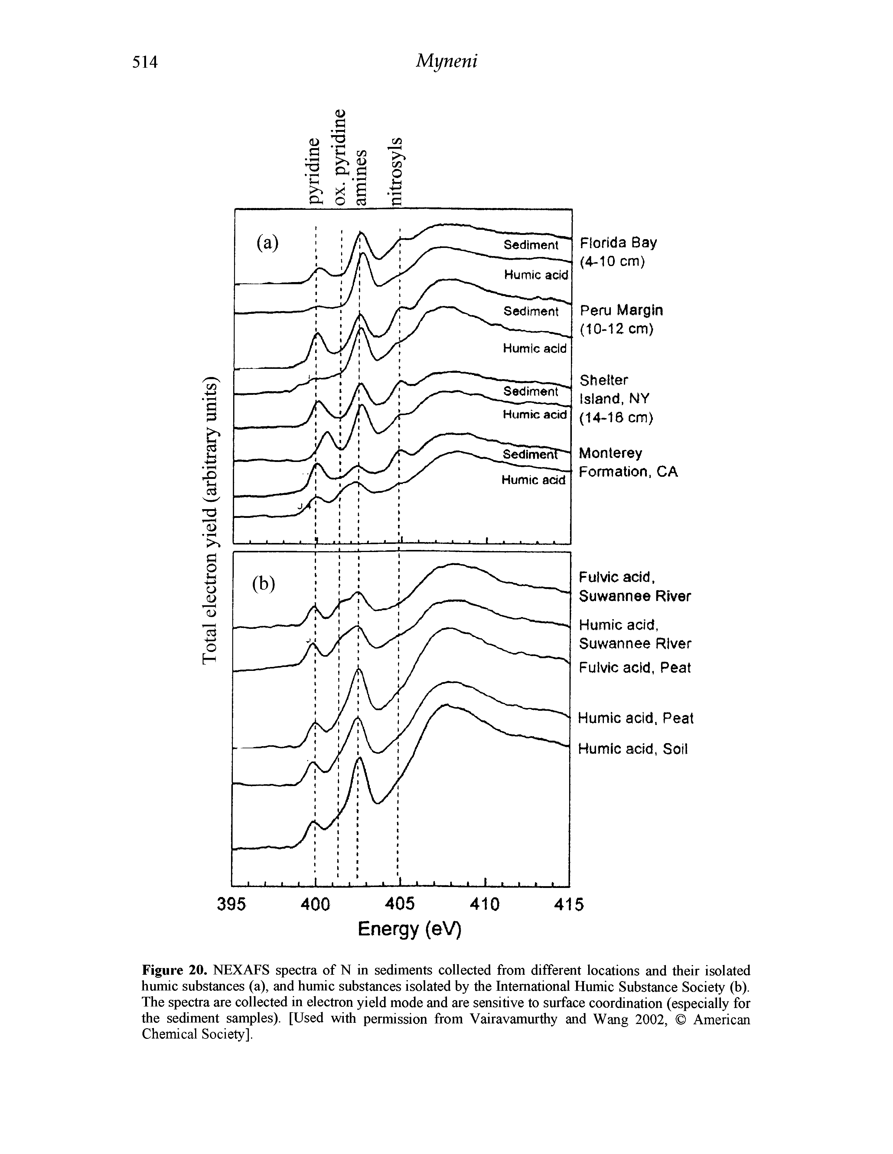 Figure 20. NEXAFS spectra of N in sediments collected from different locations and their isolated humic substances (a), and humic substances isolated by the International Humic Substance Society (b). The spectra are collected in electron yield mode and are sensitive to surface coordination (especially for the sediment samples). [Used with permission from Vairavamurthy and Wang 2002, American Chemical Society],...