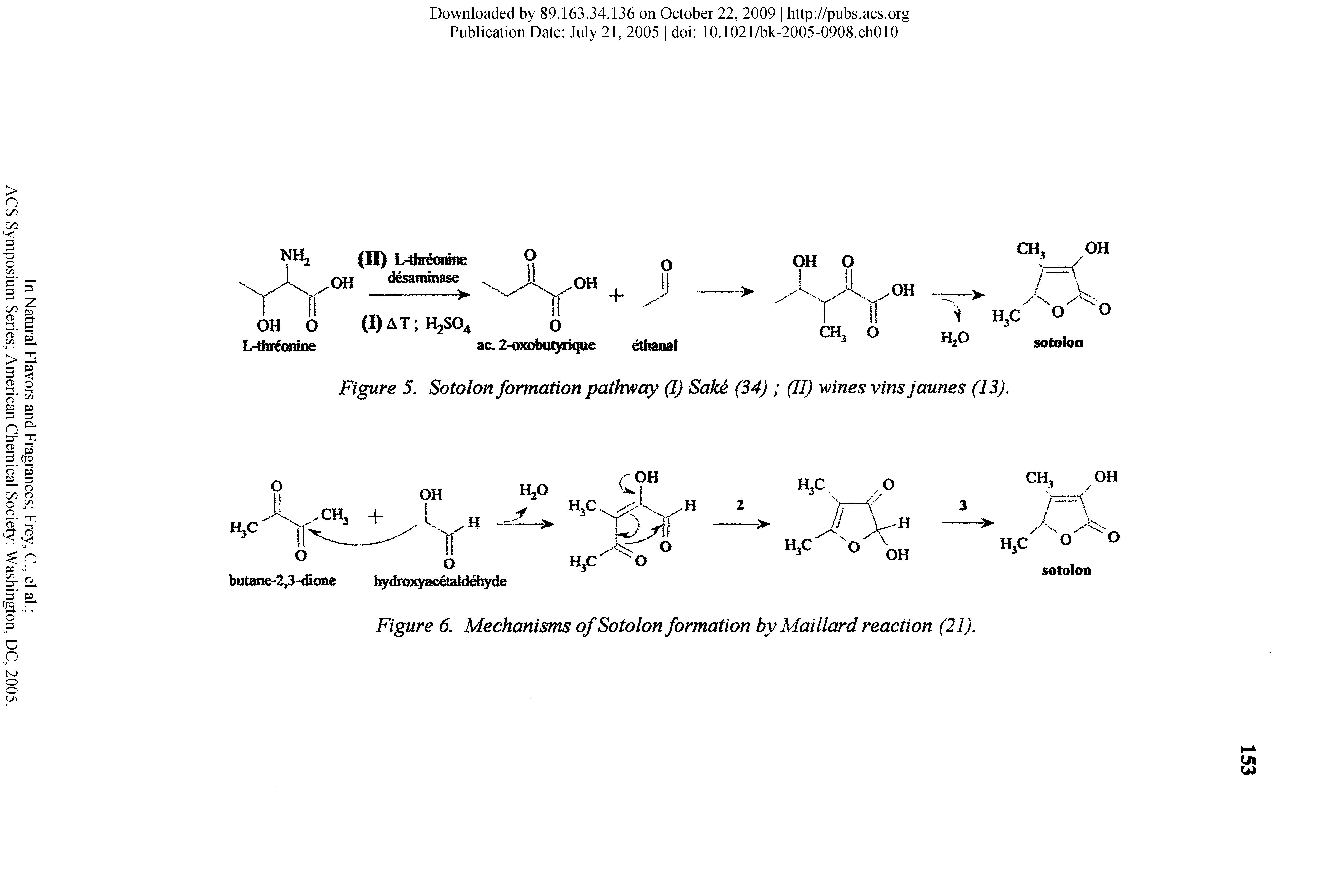 Figure 6. Mechanisms of Sotoion formation by Maillard reaction (21).