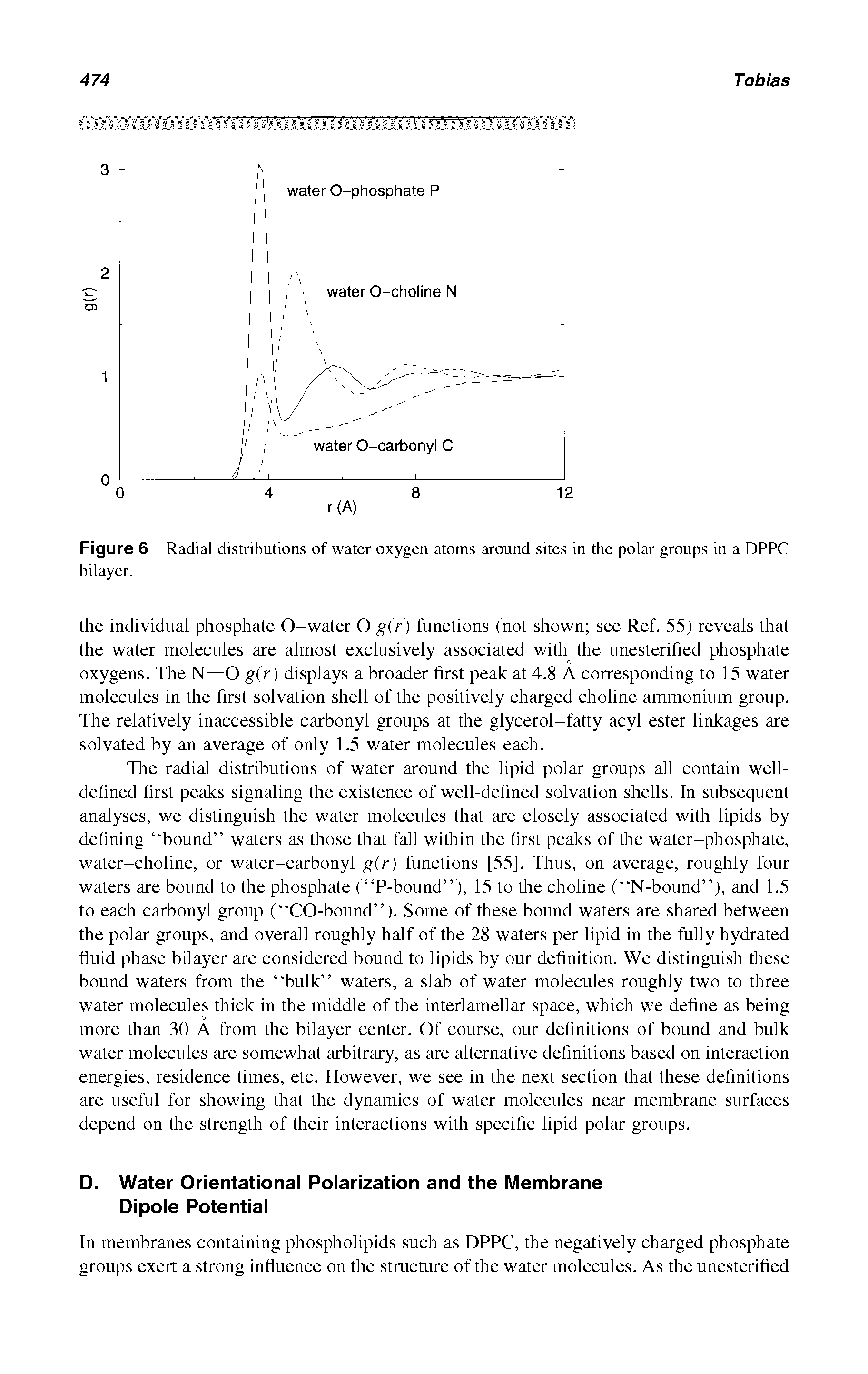 Figure 6 Radial distributions of water oxygen atoms around sites in the polar groups in a DPPC bilayer.