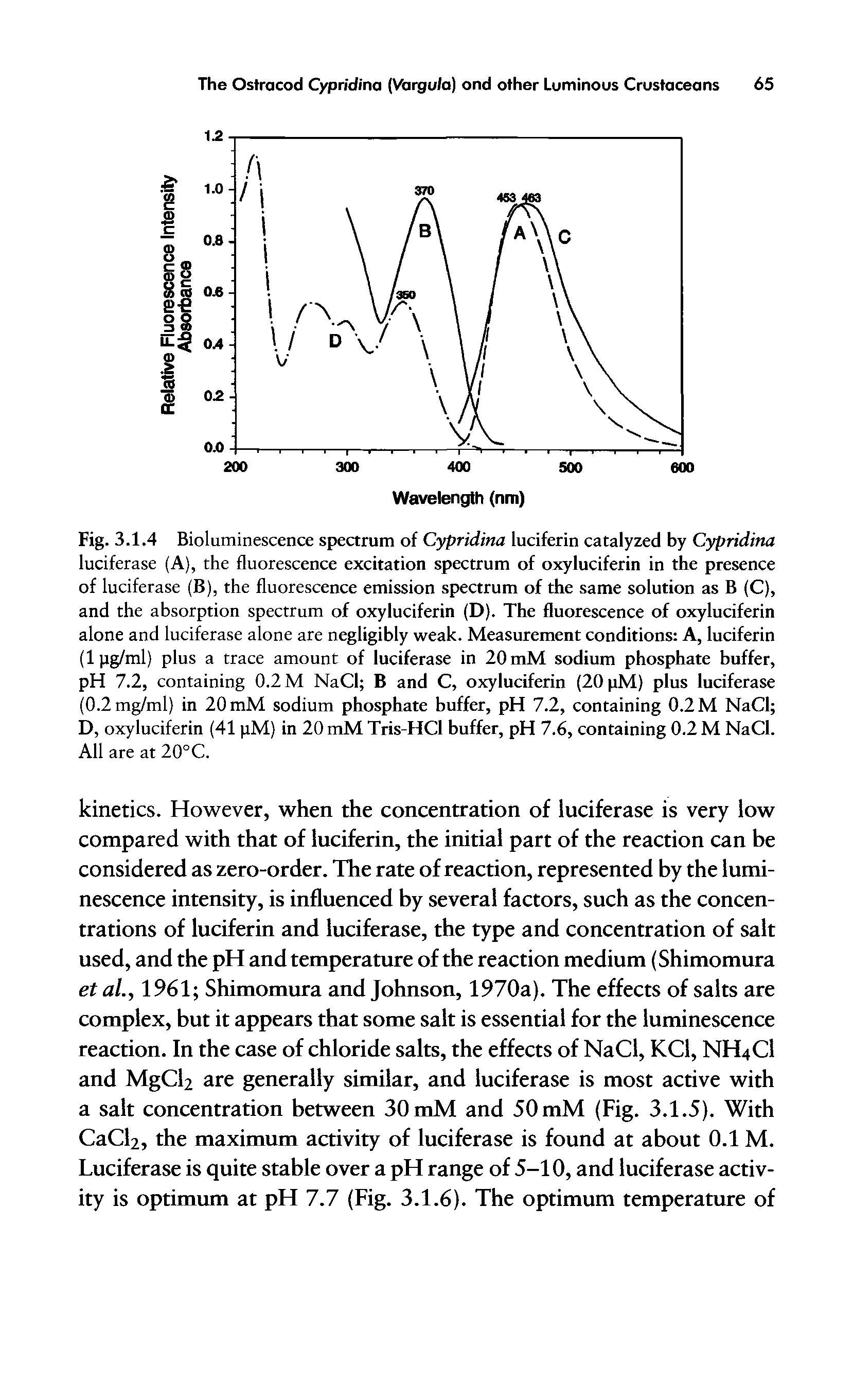 Fig. 3.1.4 Bioluminescence spectrum of Cypridina luciferin catalyzed by Cypridina luciferase (A), the fluorescence excitation spectrum of oxyluciferin in the presence of luciferase (B), the fluorescence emission spectrum of the same solution as B (C), and the absorption spectrum of oxyluciferin (D). The fluorescence of oxyluciferin alone and luciferase alone are negligibly weak. Measurement conditions A, luciferin (lpg/ml) plus a trace amount of luciferase in 20 mM sodium phosphate buffer, pH 7.2, containing 0.2 M NaCl B and C, oxyluciferin (20 pM) plus luciferase (0.2mg/ml) in 20 mM sodium phosphate buffer, pH 7.2, containing 0.2 M NaCl D, oxyluciferin (41 pM) in 20 mM Tris-HCl buffer, pH 7.6, containing 0.2 M NaCl. All are at 20°C.